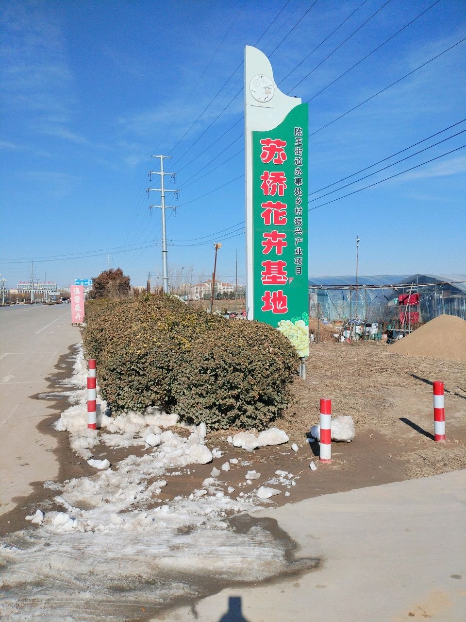 温馨花卉(孙膑路店)