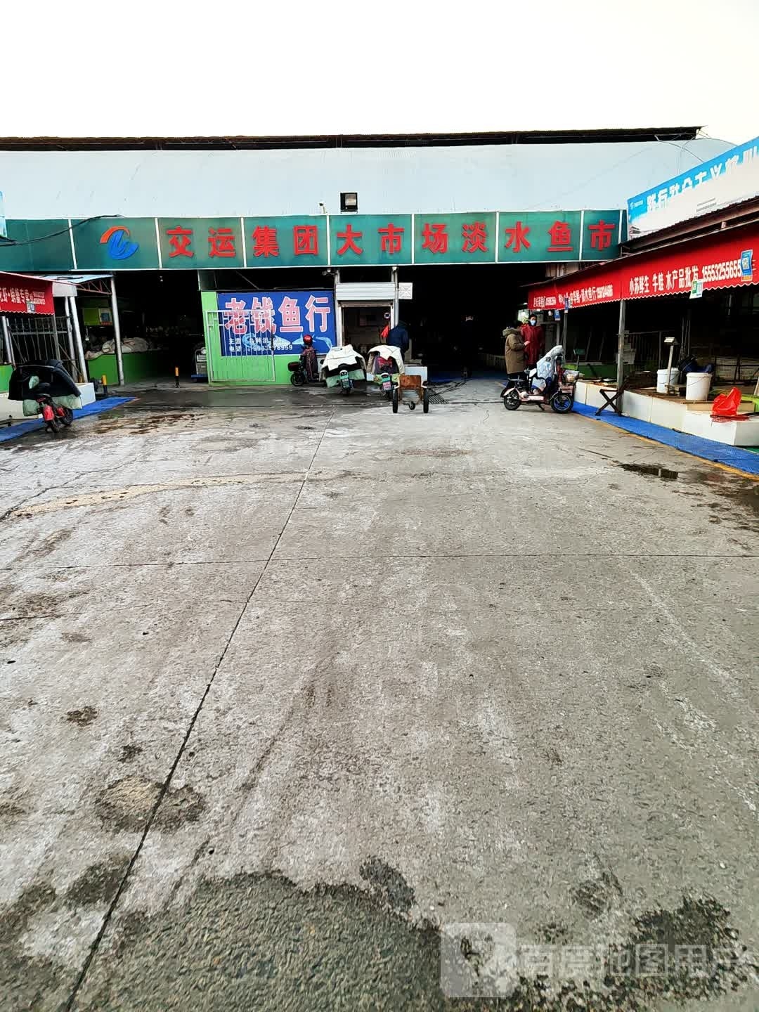 交运集团菜市场淡水鱼市