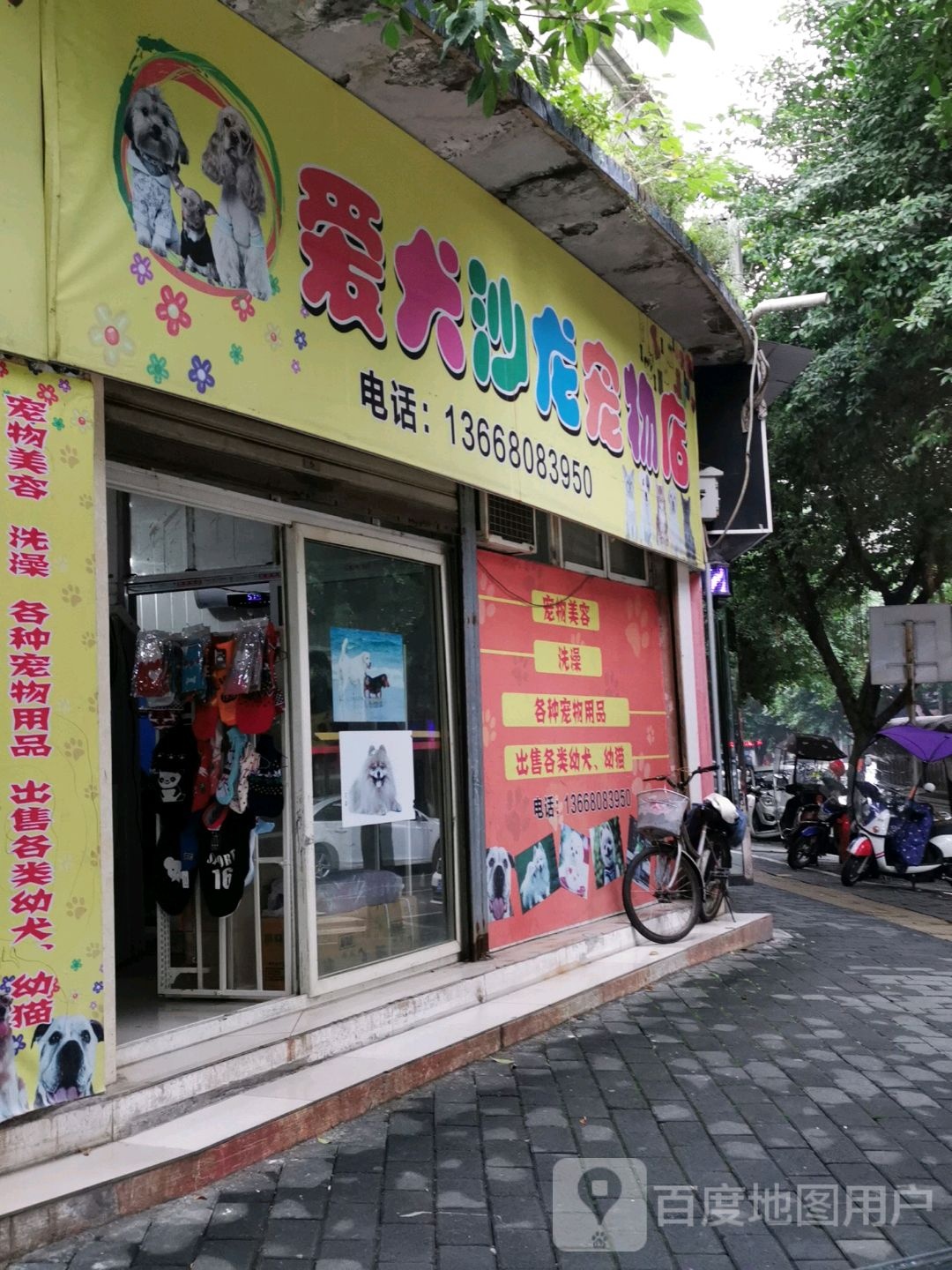 爱犬沙龙宠物店