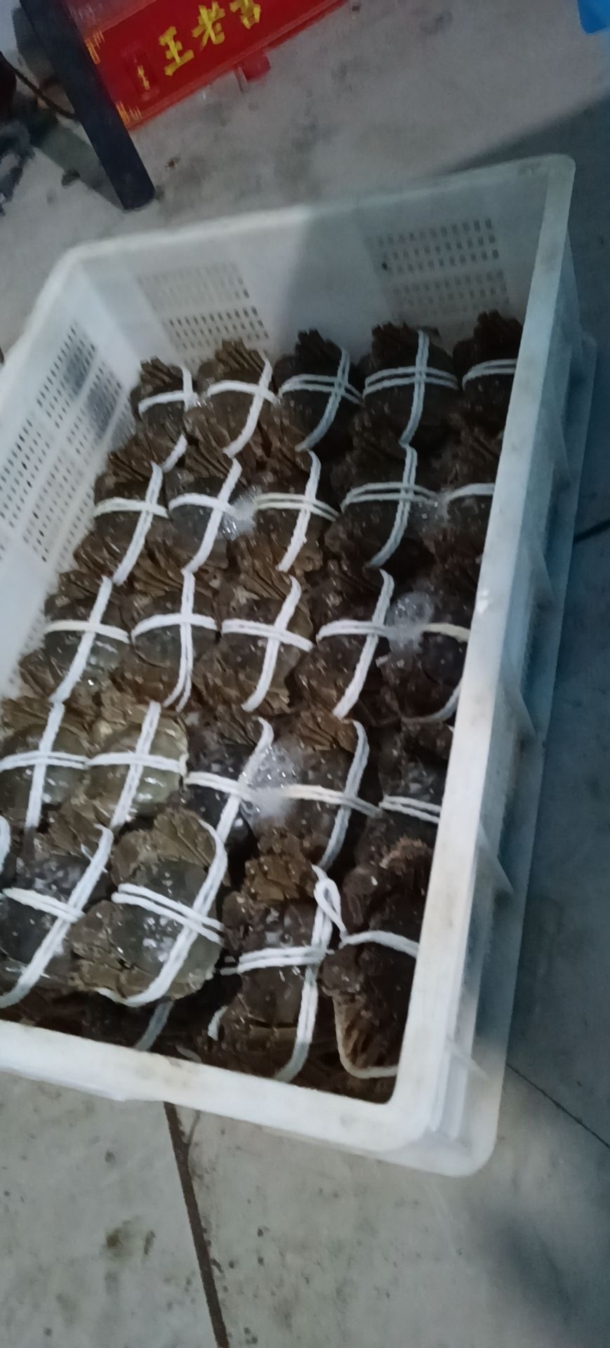 孙宝珠精品小龙螃蟹