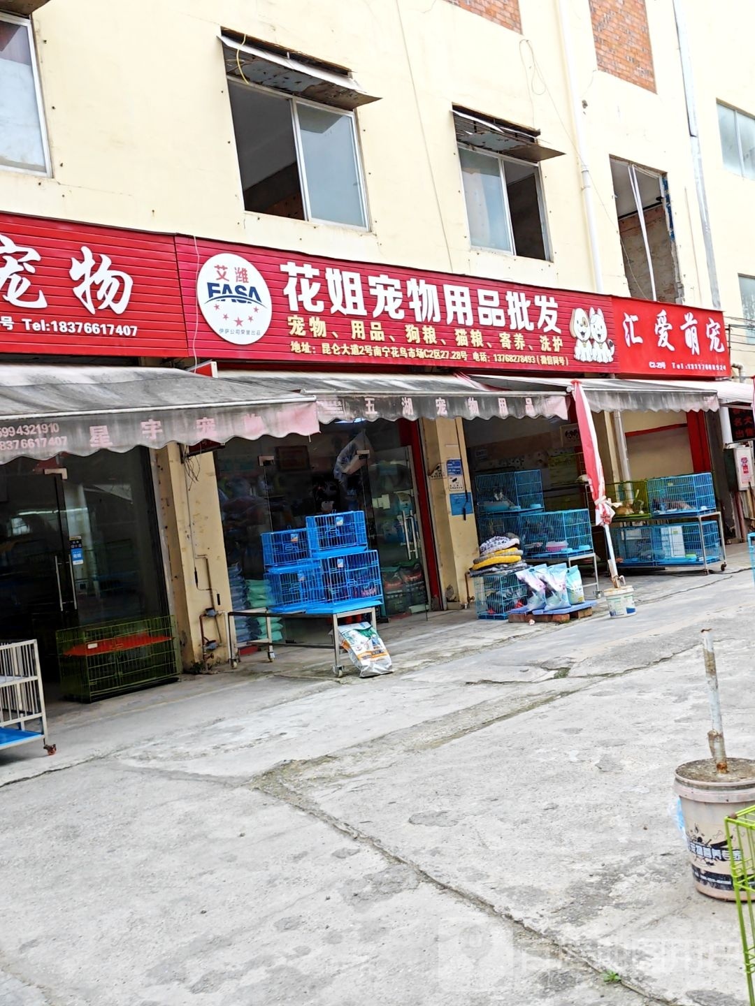 汇爱萌宠