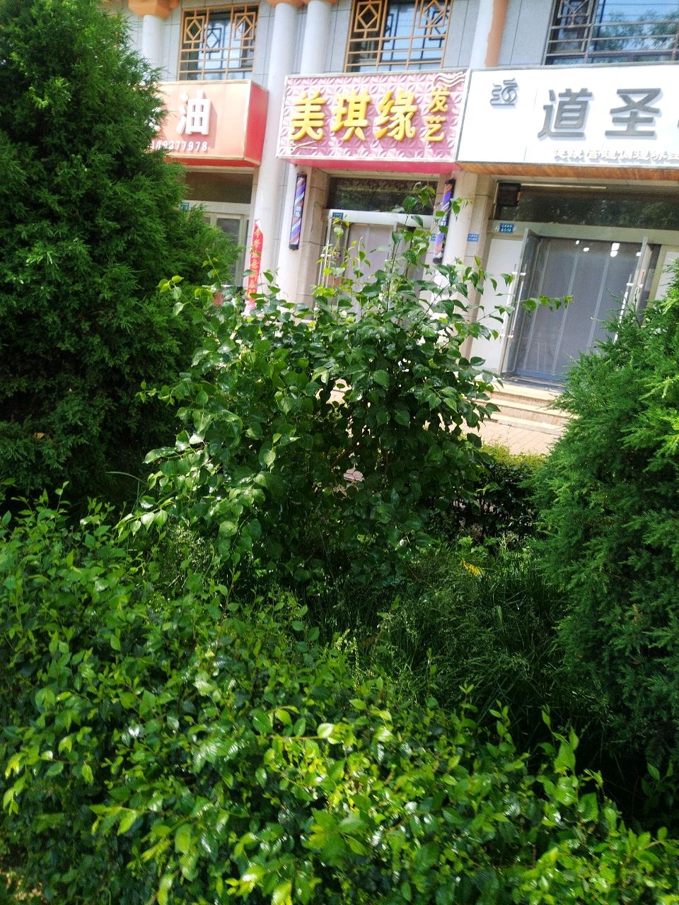 美琪缘发艺