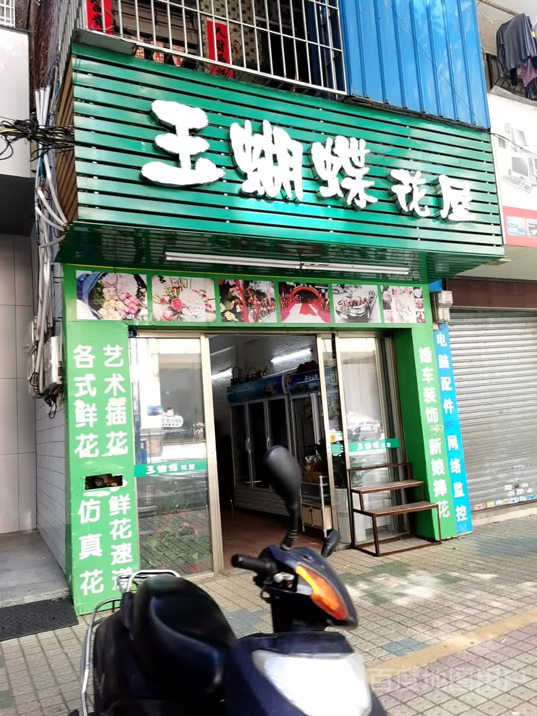 阳春市府前路133号玉蝴蝶花屋