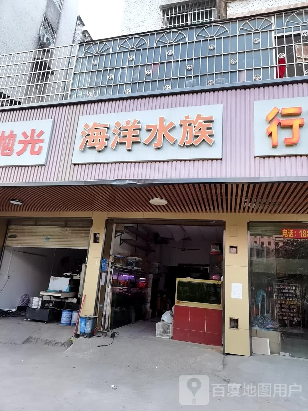 海洋水族