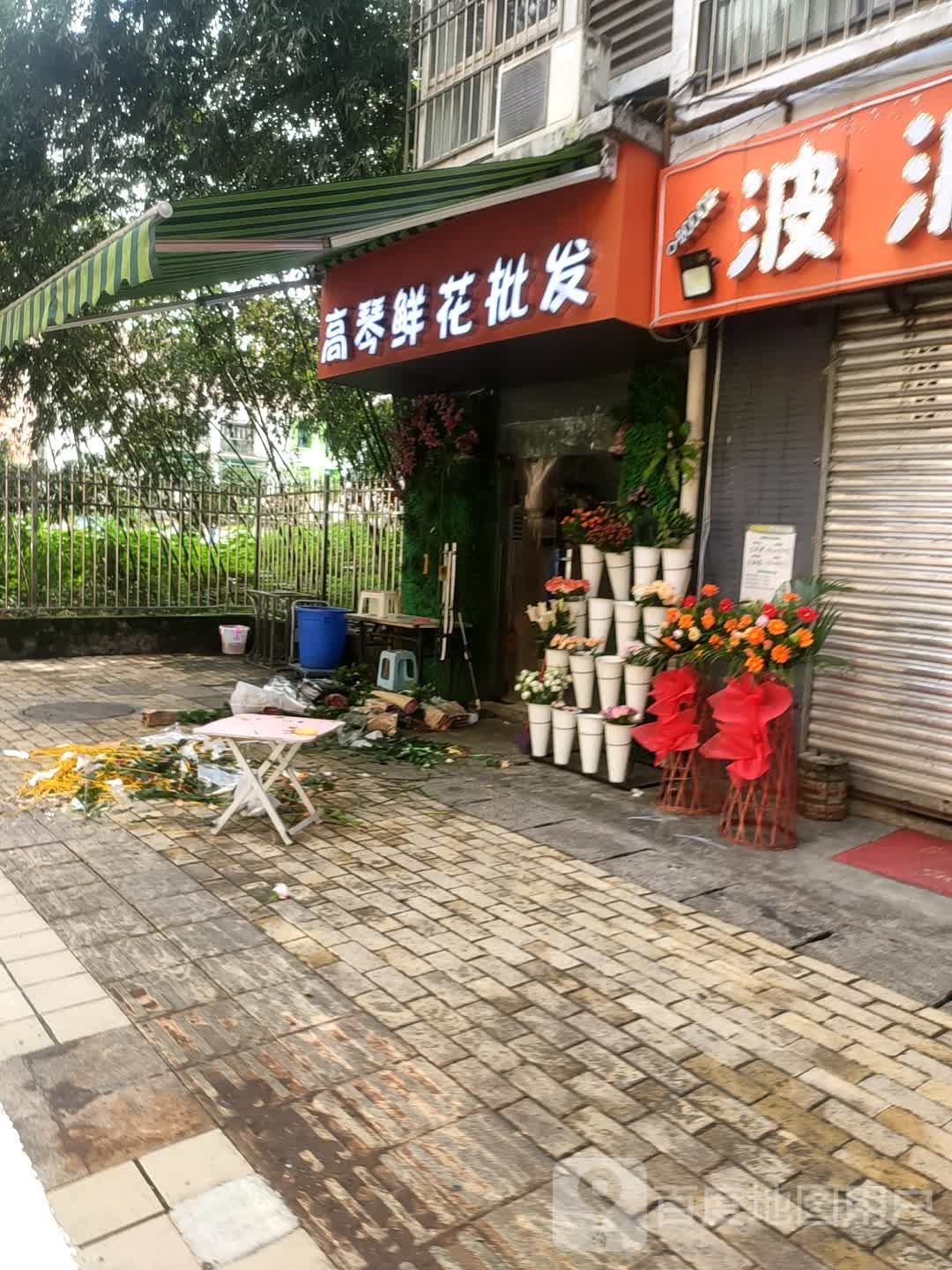 高琴鲜花批发
