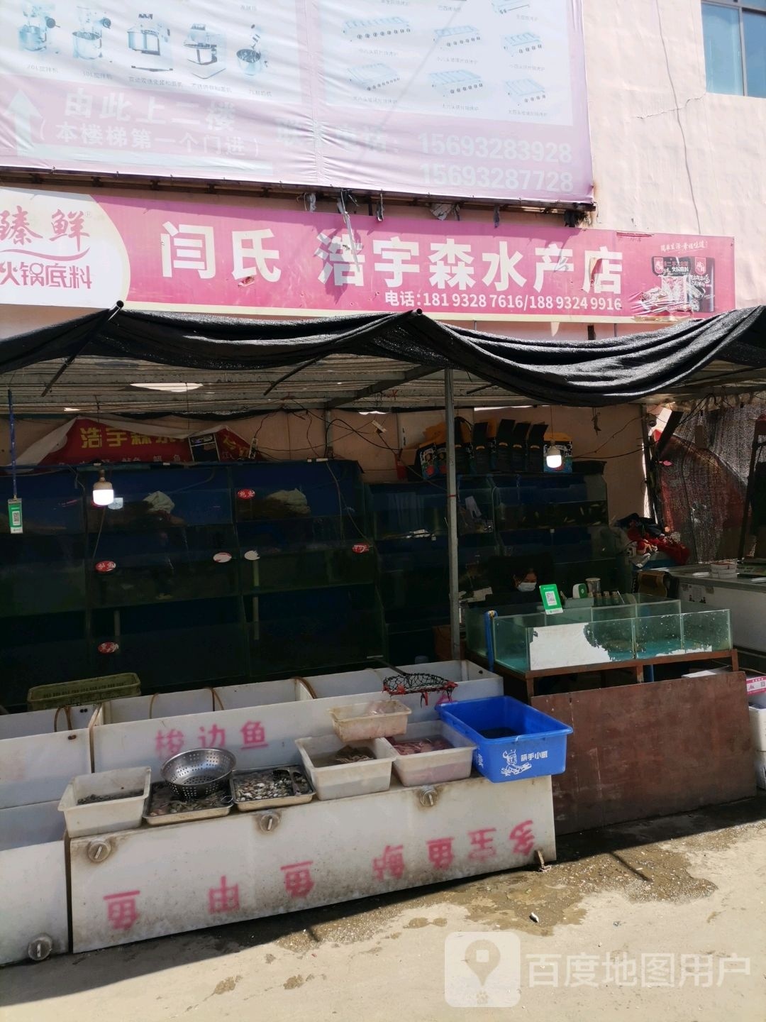 闫氏浩宇森水产店