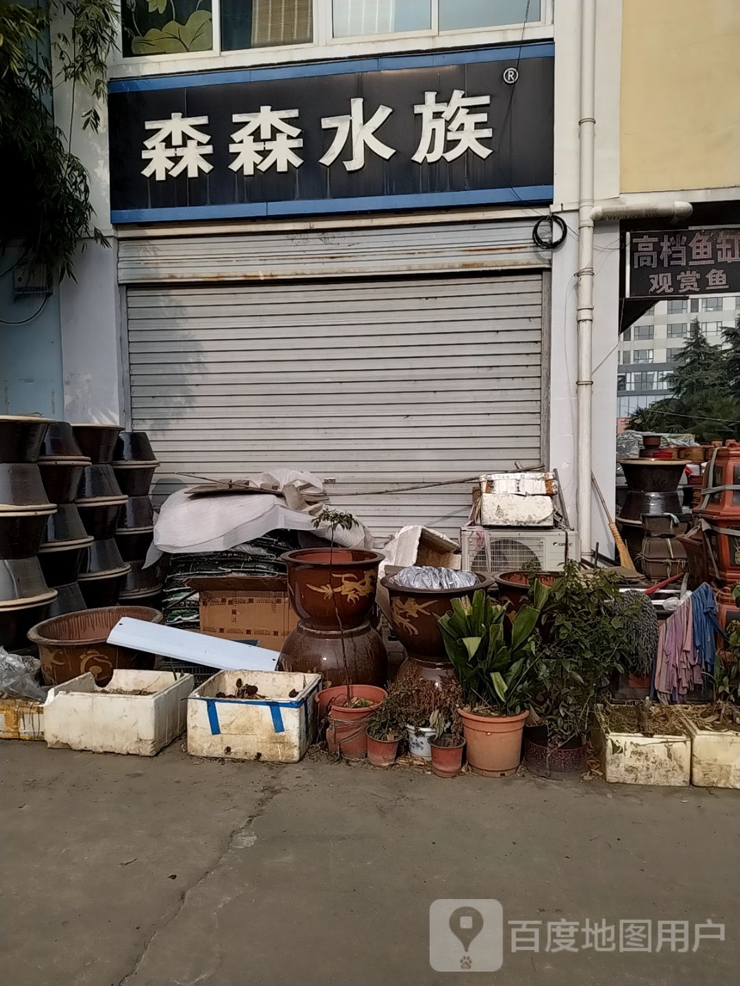 森森水族(南阳专卖店)