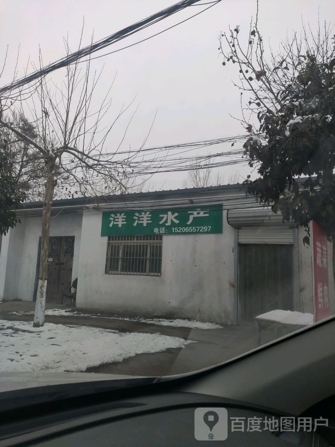 洋洋水产