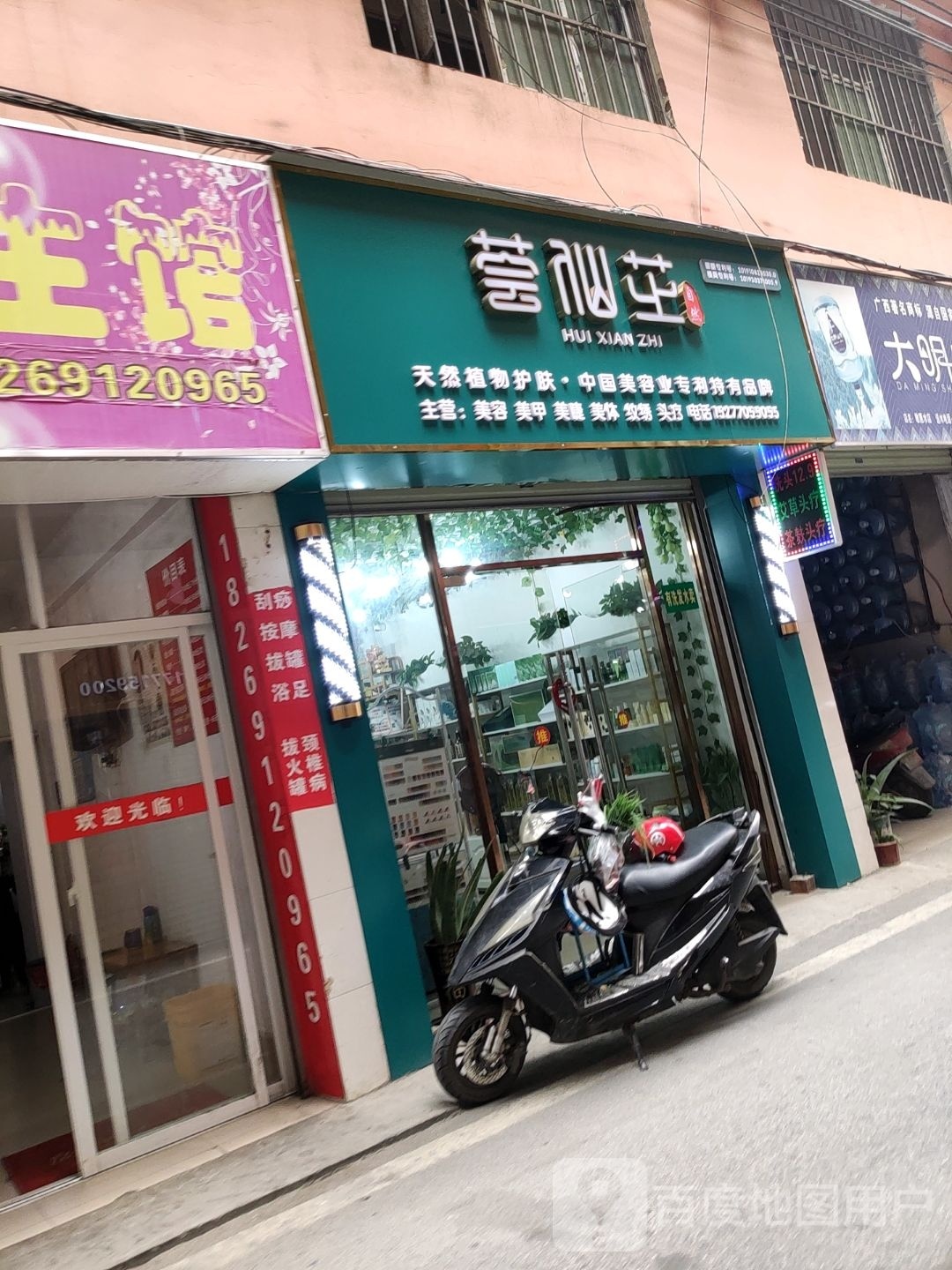 荟仙芷