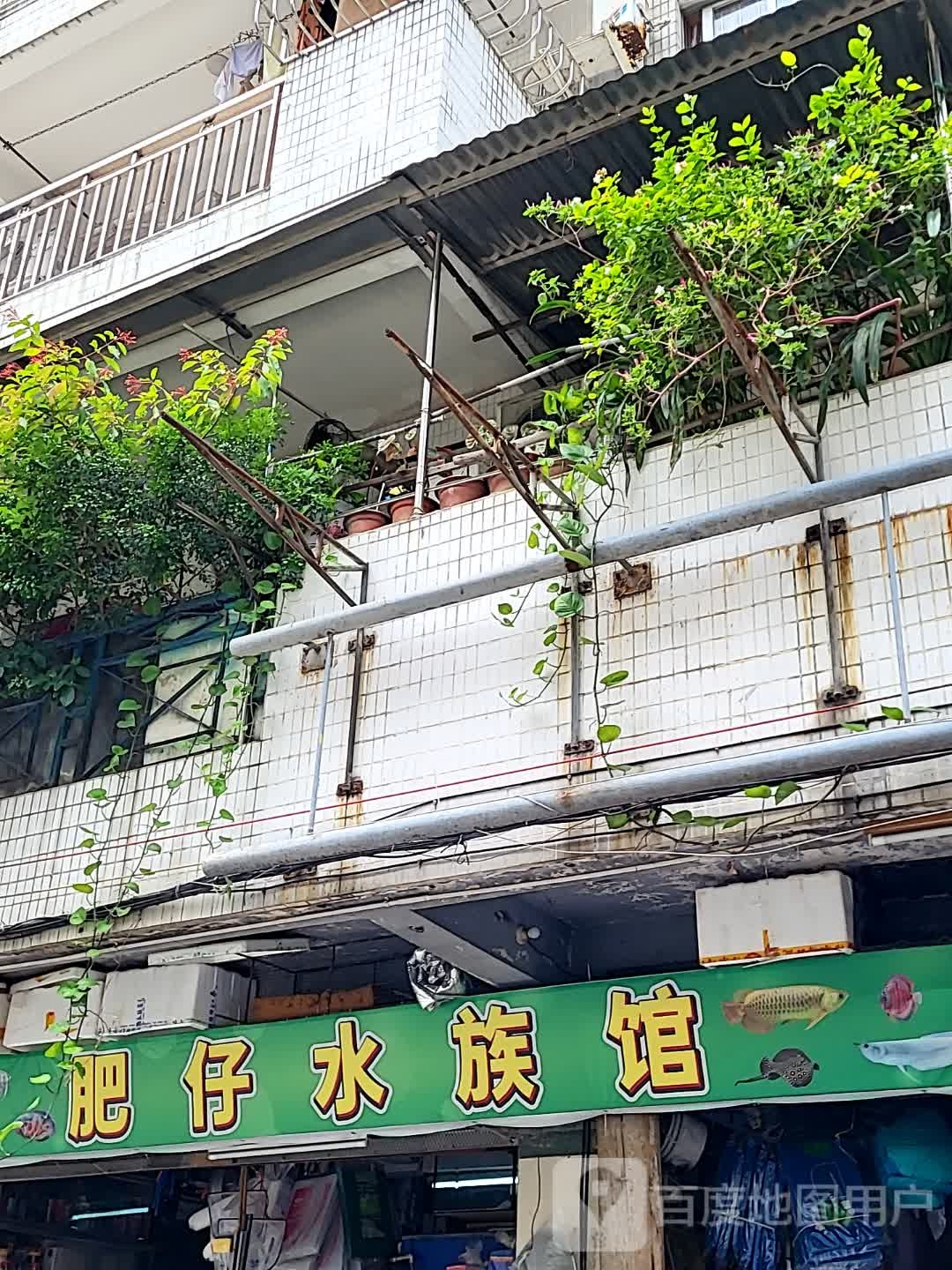 肥仔水族馆(地王广场店)