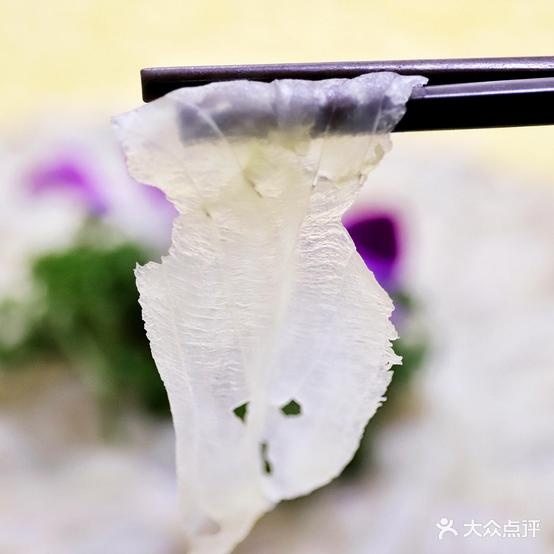 潮鱼赏生