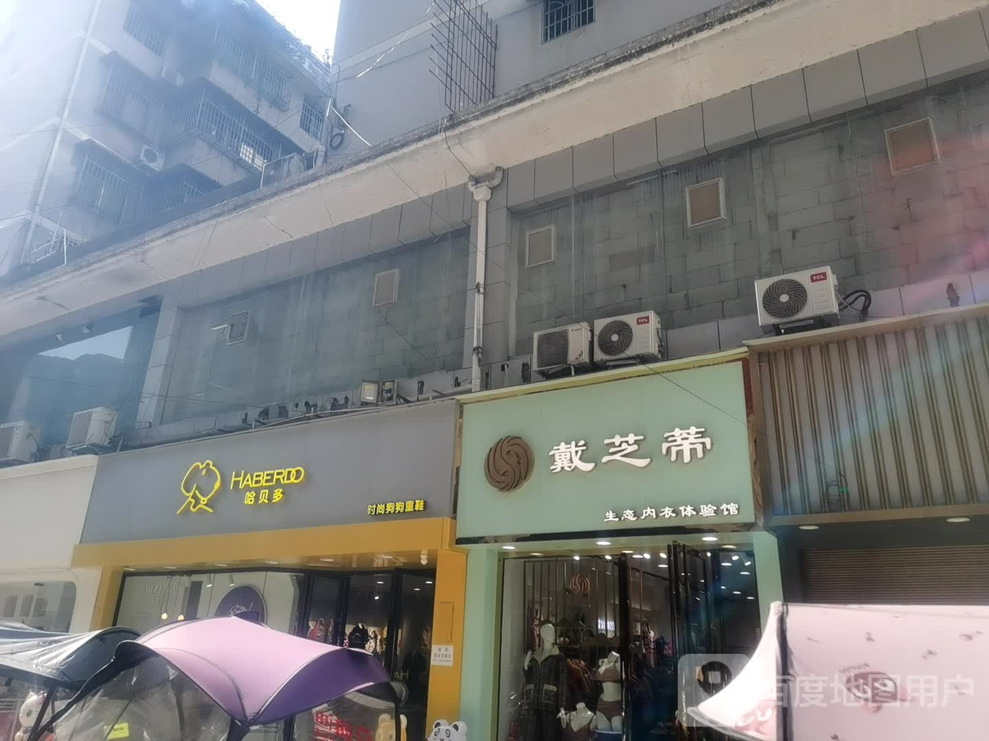 时尚狗狗(凤凰国际店)