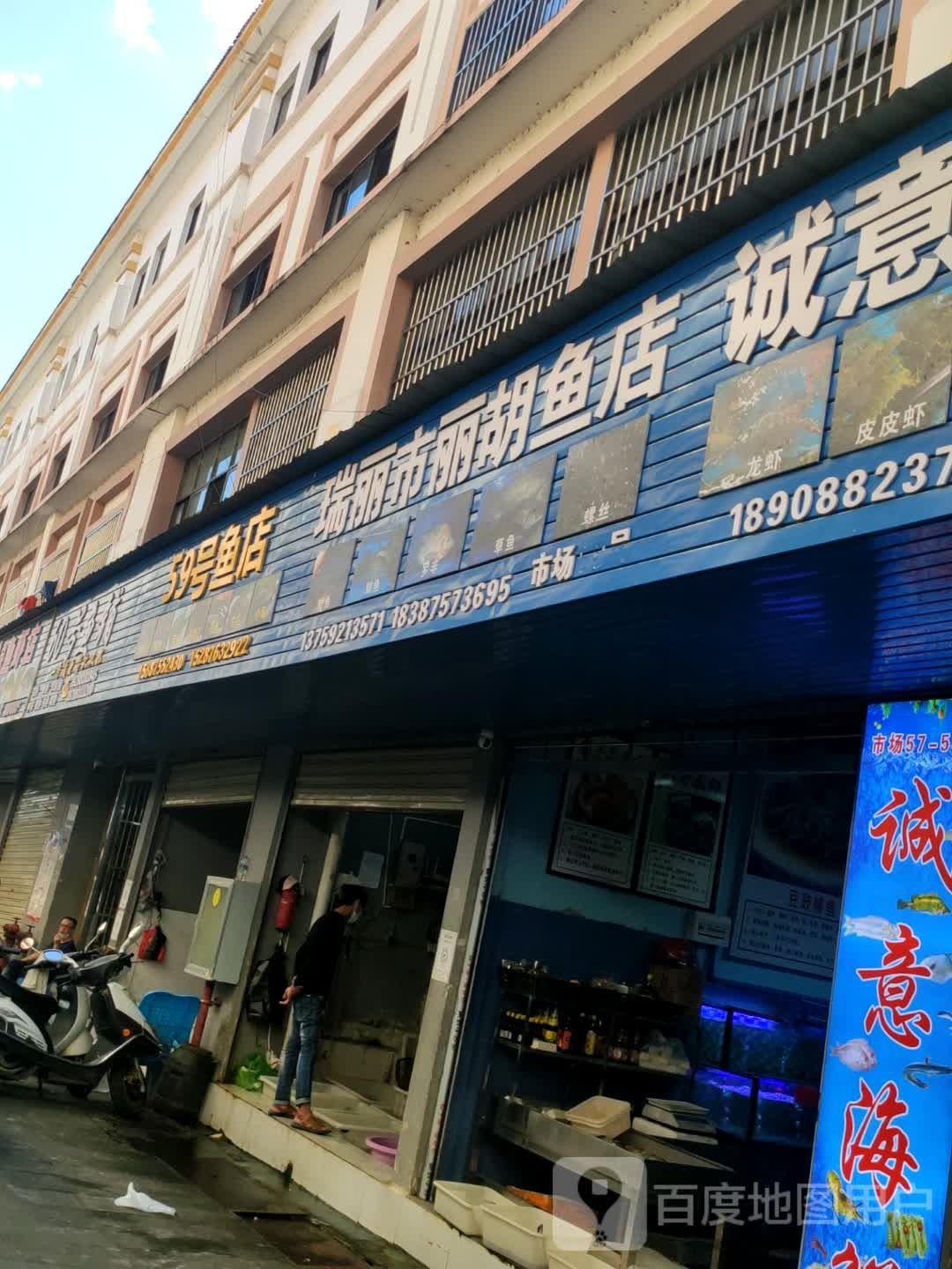 59号鱼店