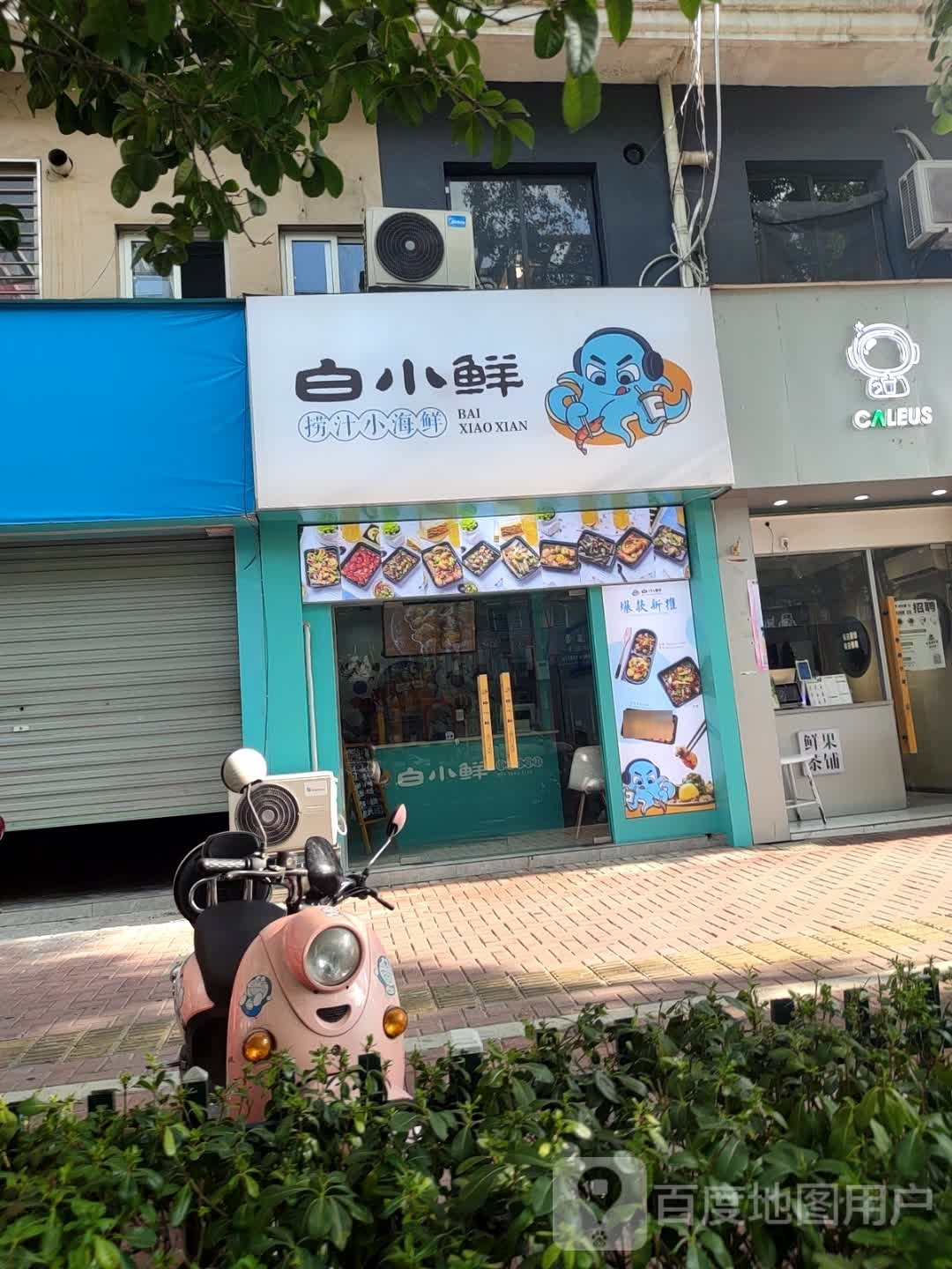 白小鲜捞汁小海鲜(锦苑广场店)