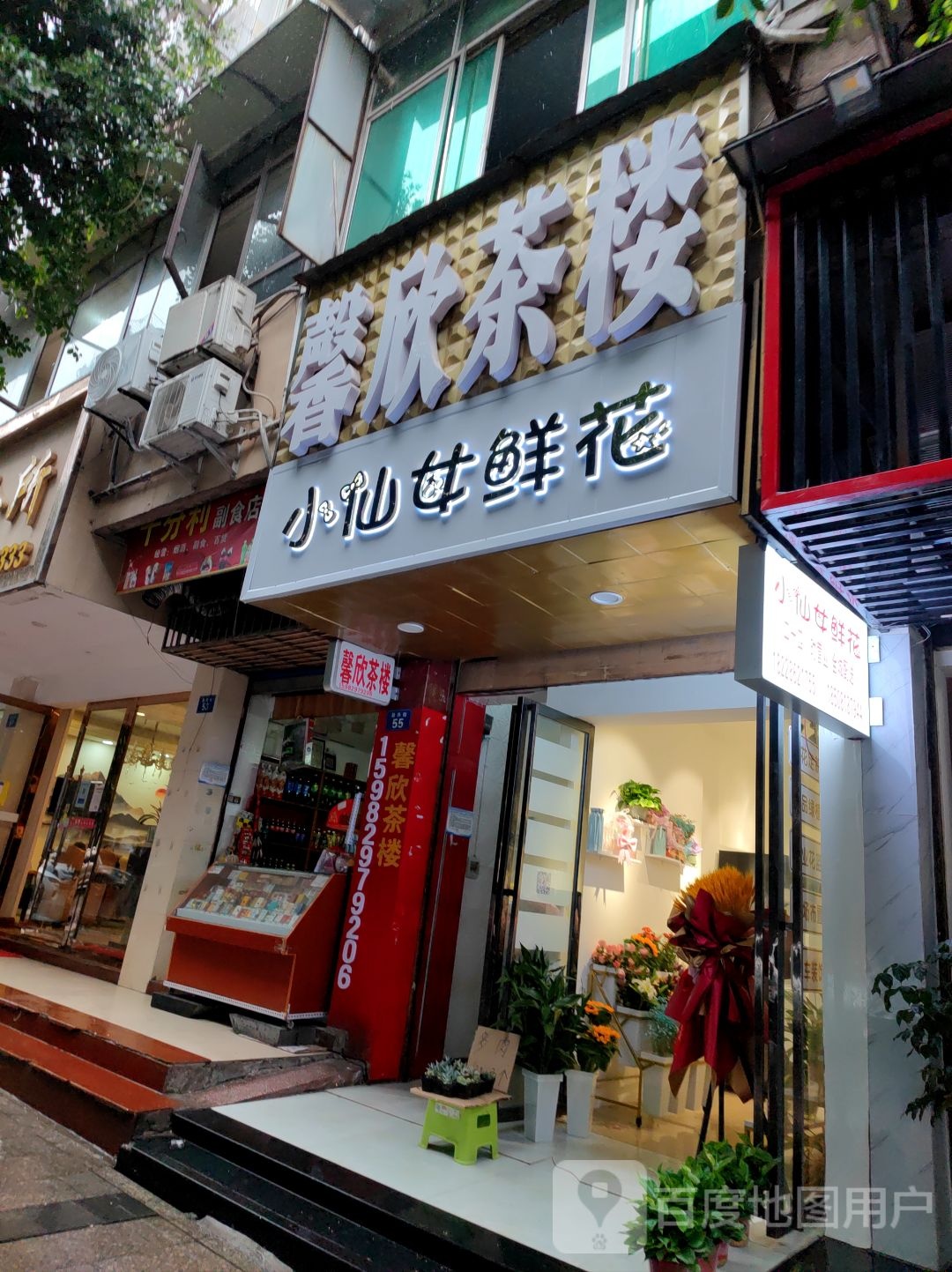 小仙女鲜花