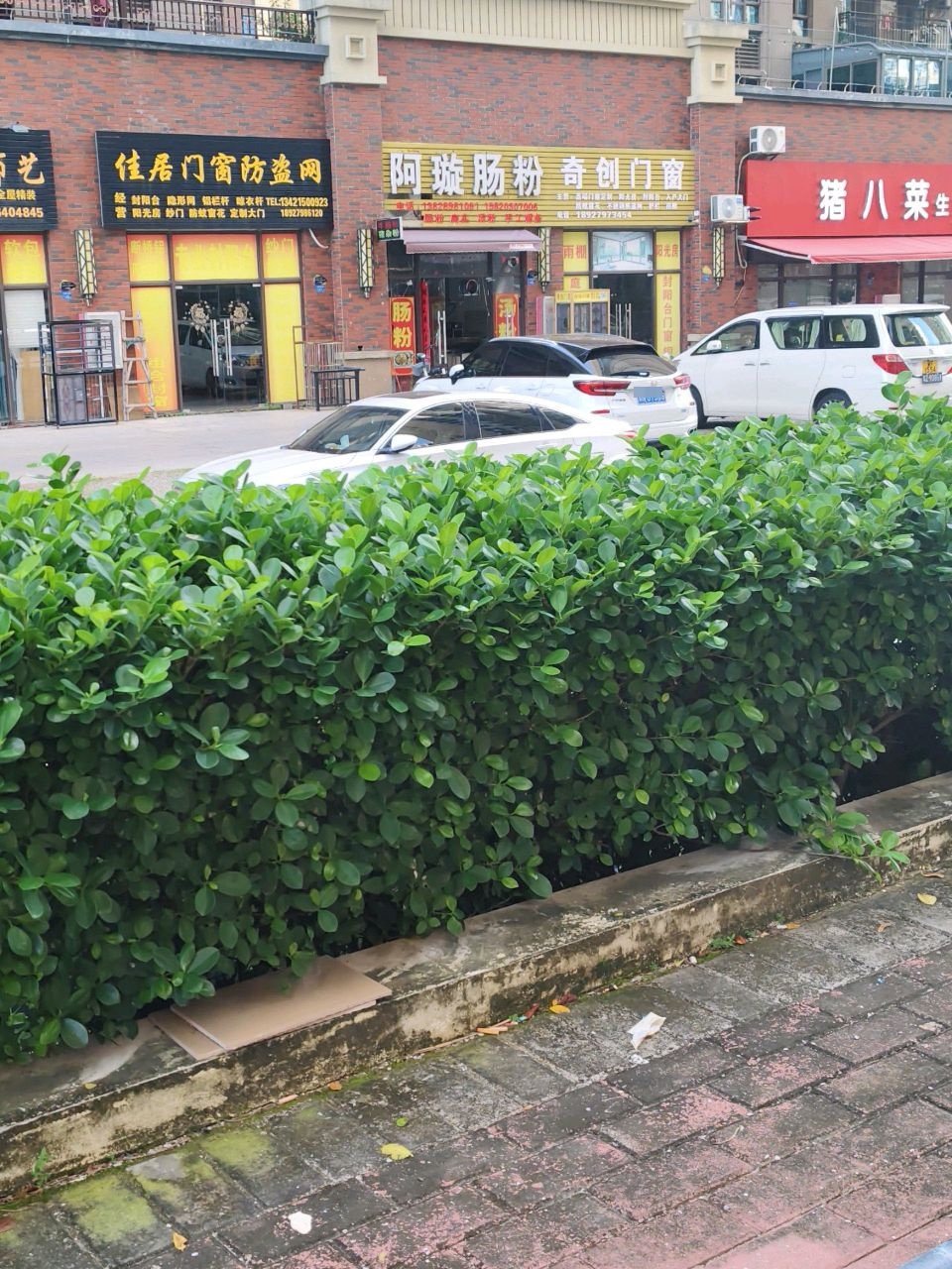 阿璇肠粉(碧桂园华附凤凰城一期店)