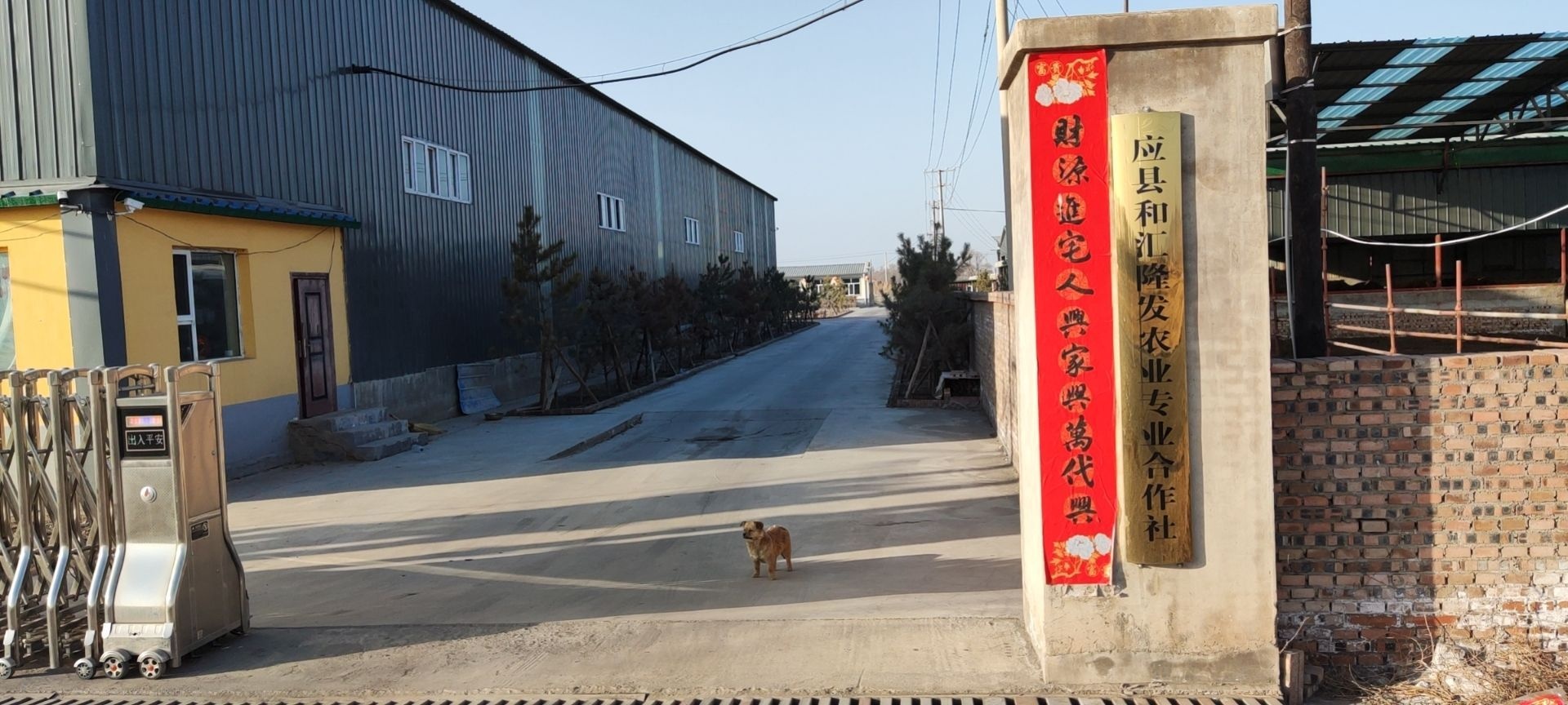 应县和汇隆发农业专业合作社
