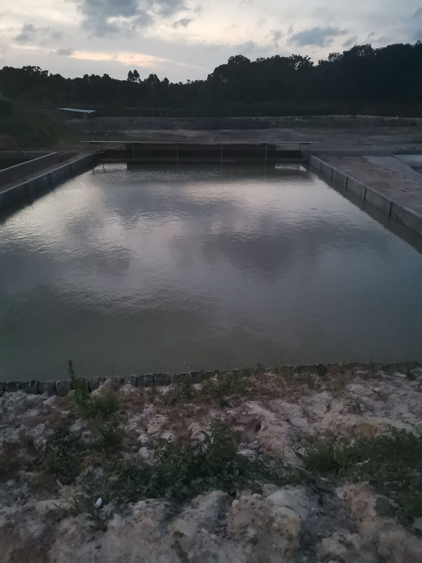 茂名市亿隆龟鳖养殖有限公司