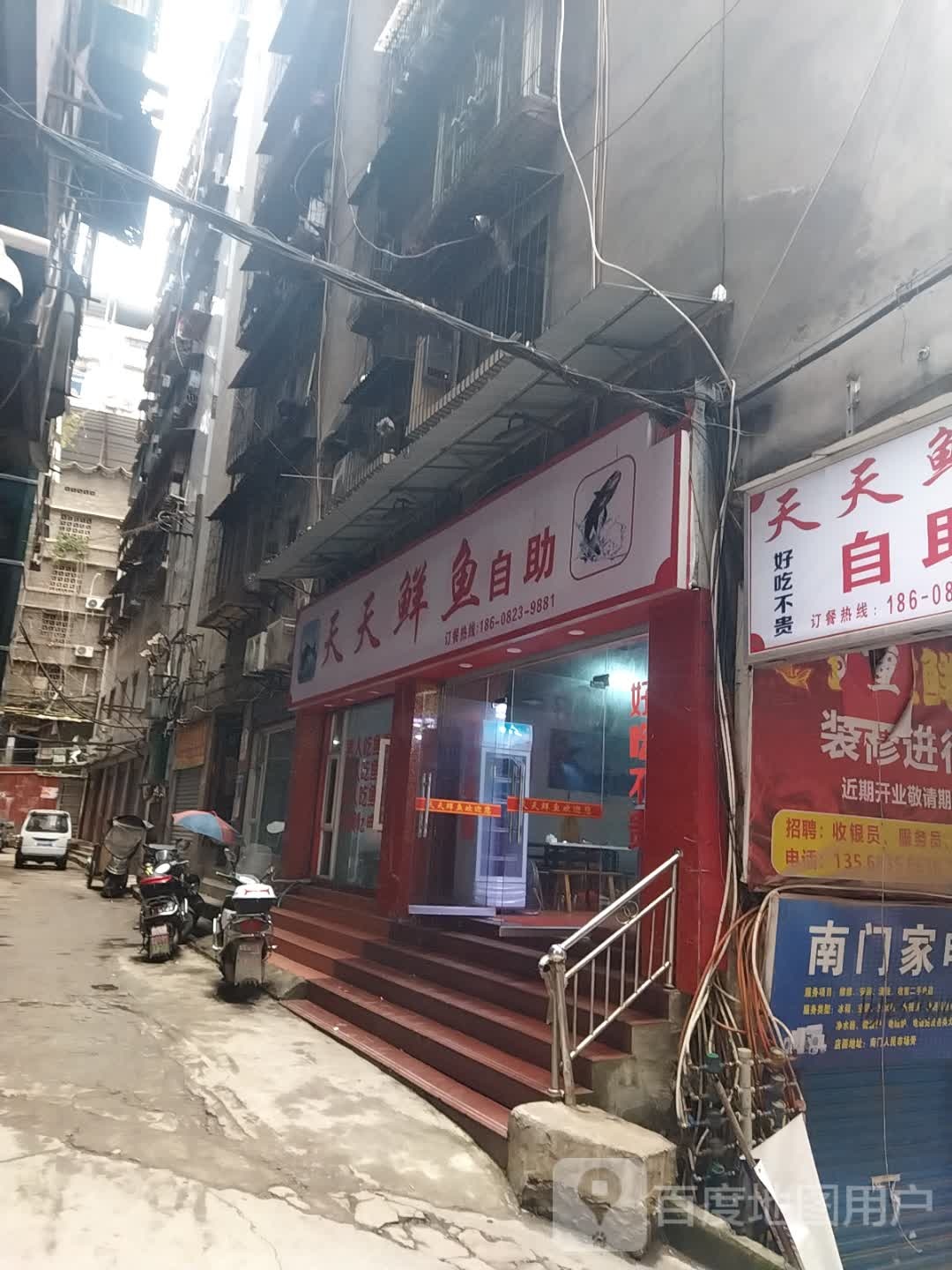 天天鲜鱼(渠县店)