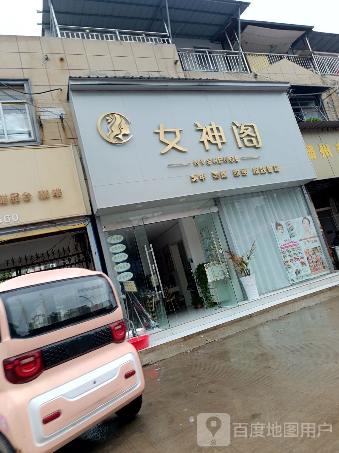 女肾阁