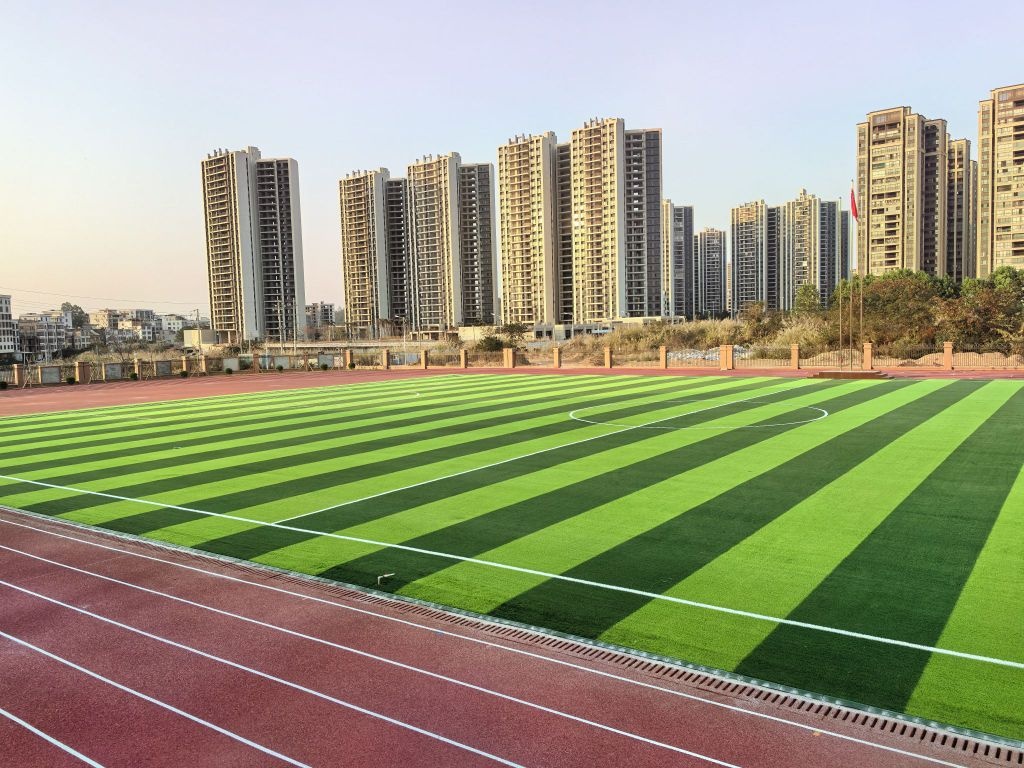 高州市金阳学校