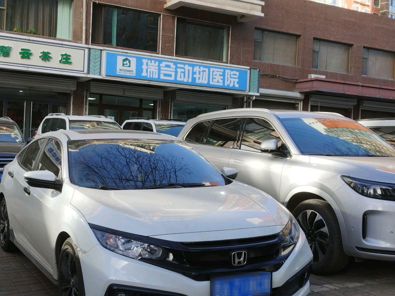 瑞合动物医院