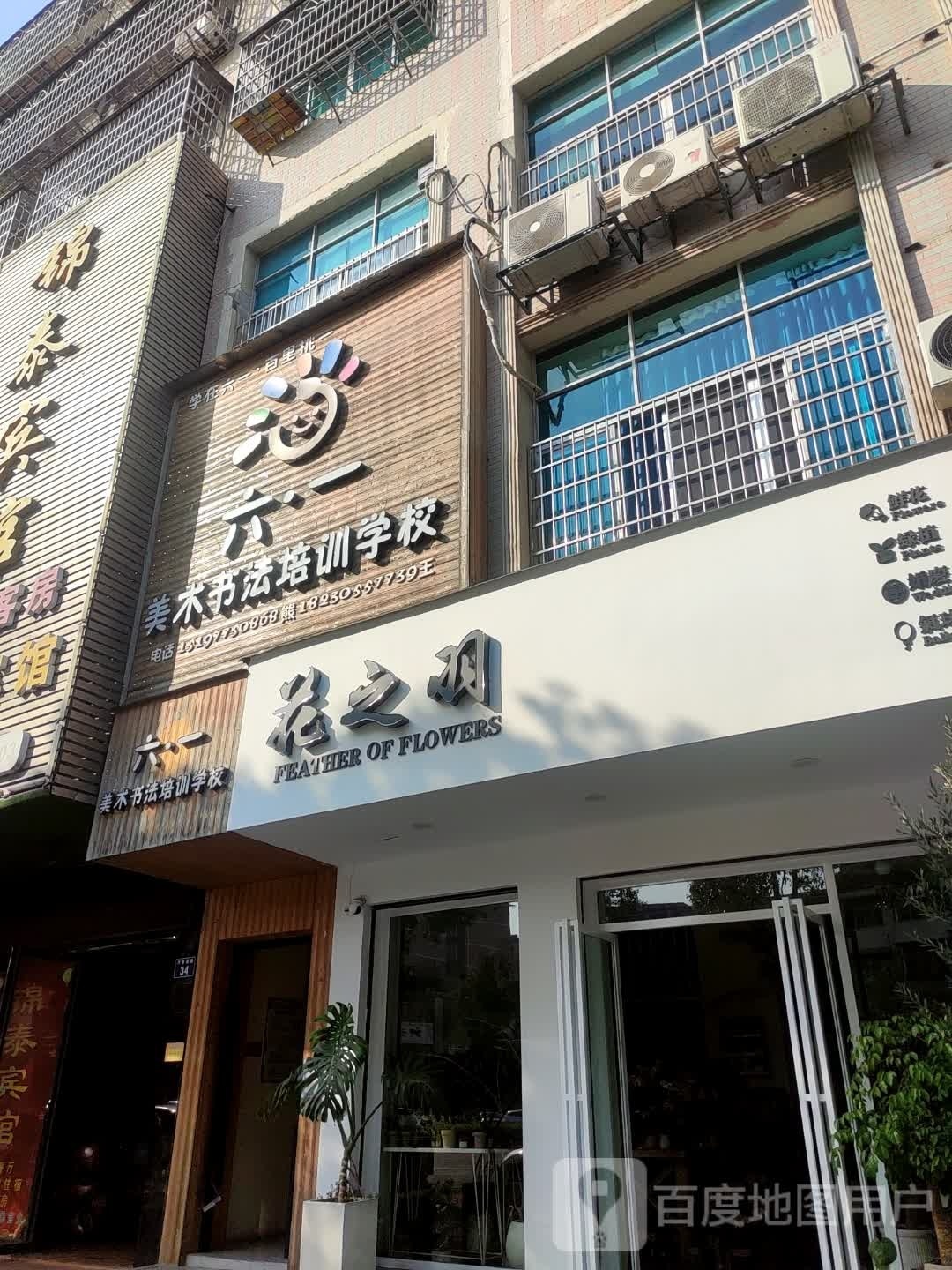 花之羽鲜花