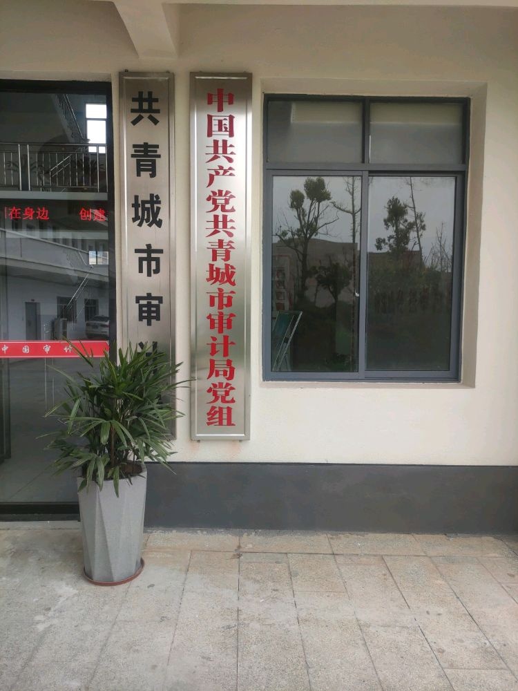 共青城市审计局