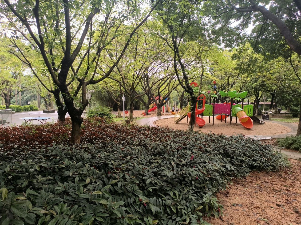南游乐场