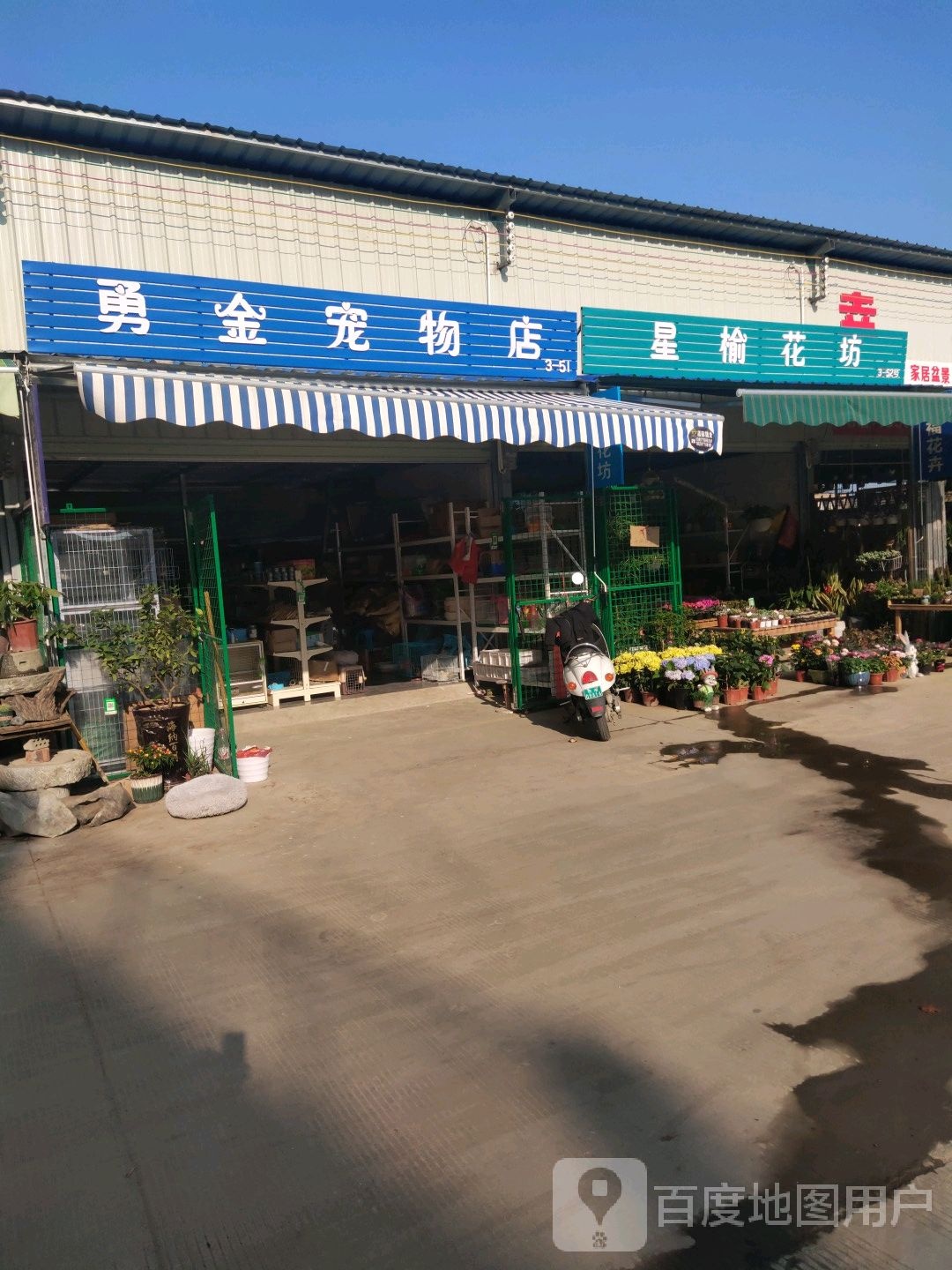 勇金宠物店