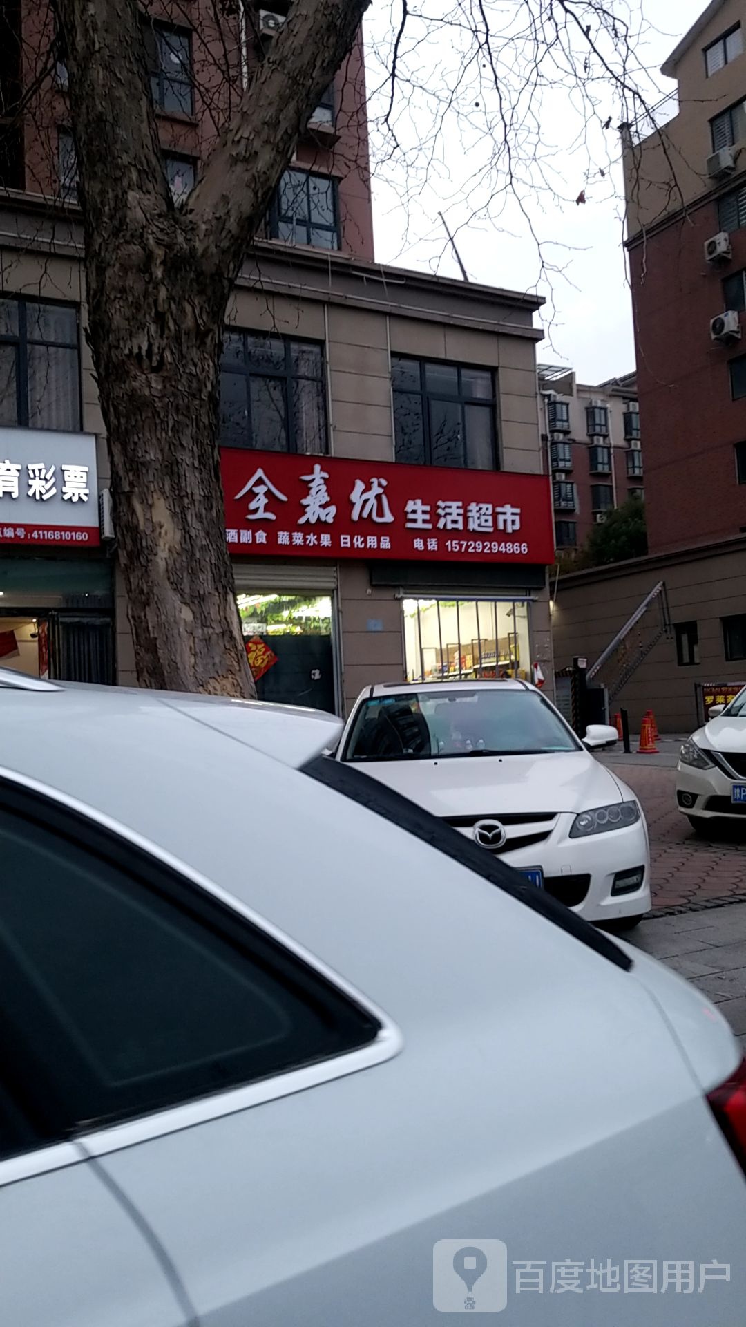 项城市全嘉优生活超市(金地凤凰国际小区店)