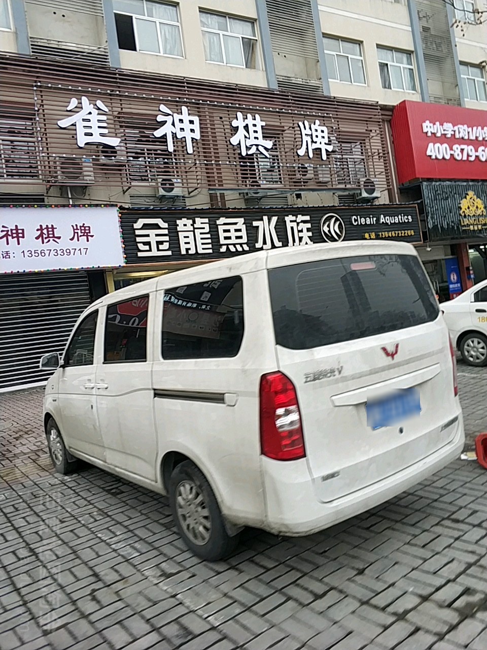 金龙鱼水族(联合路店)