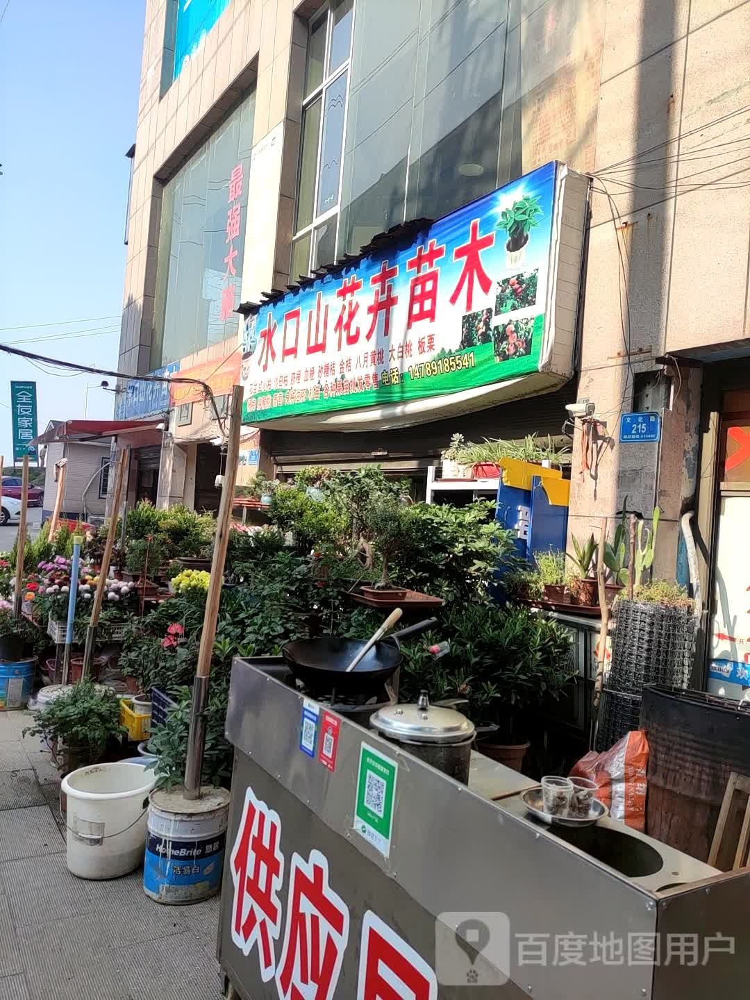 水口山花卉苗木