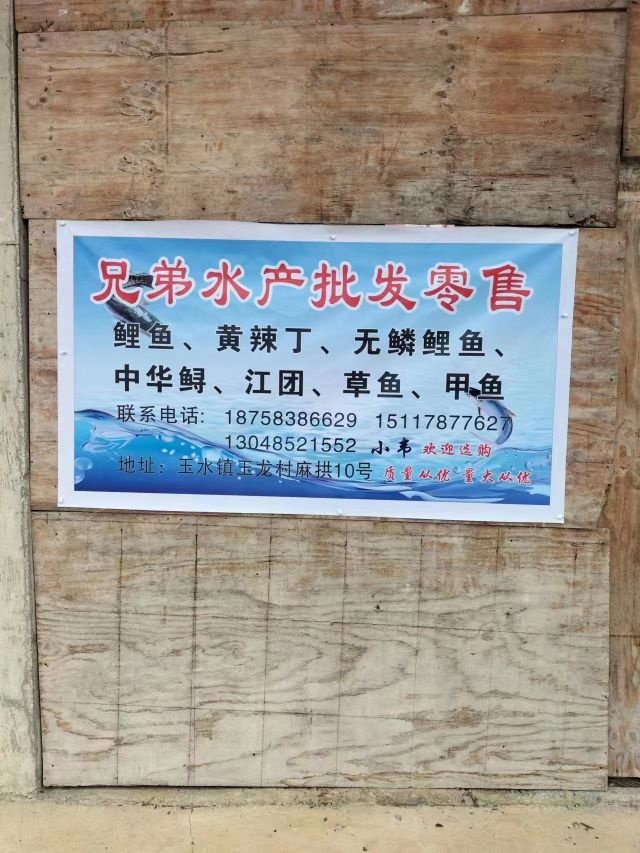兄弟水产批发零售