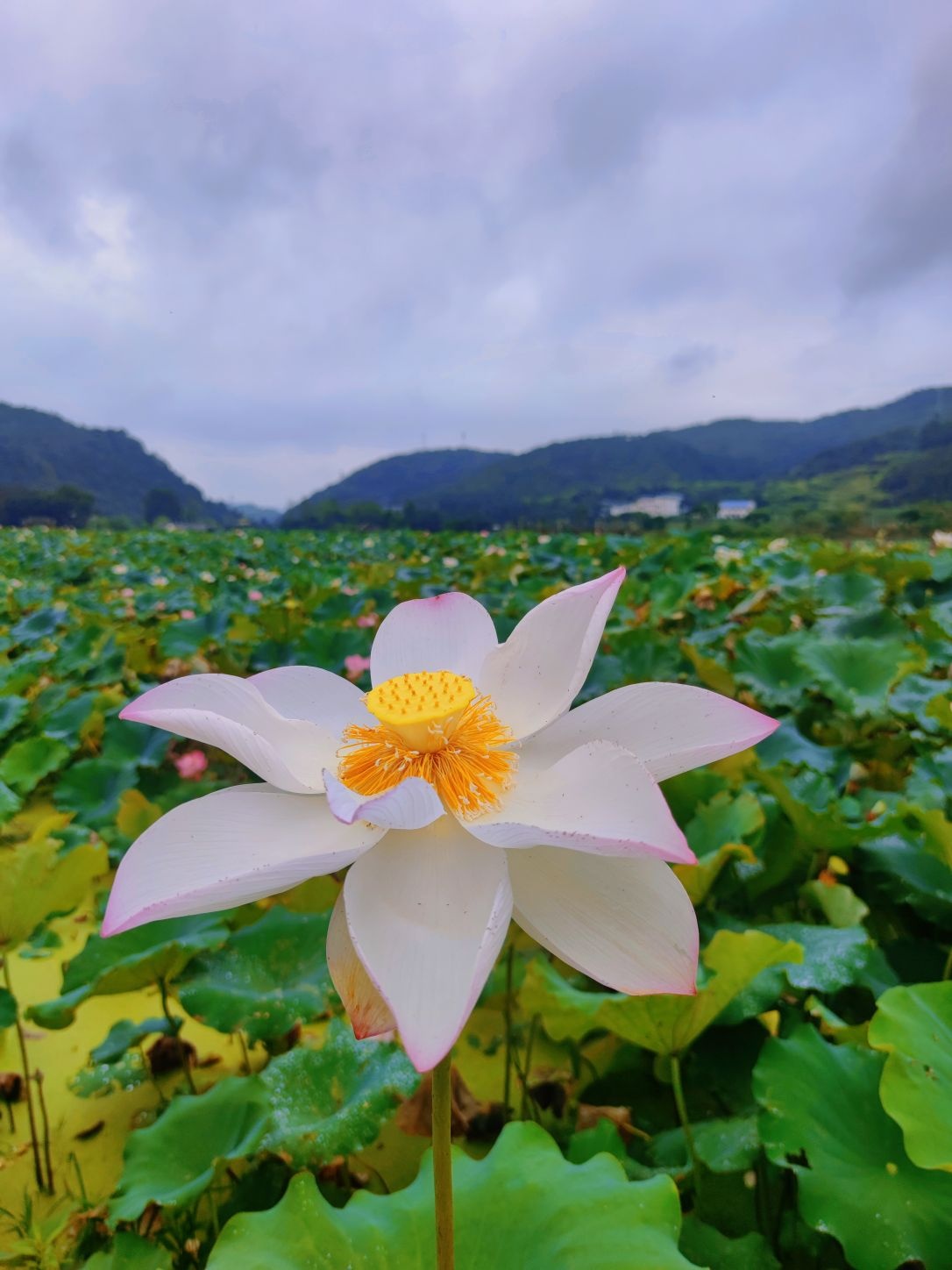 石城通天寨景区