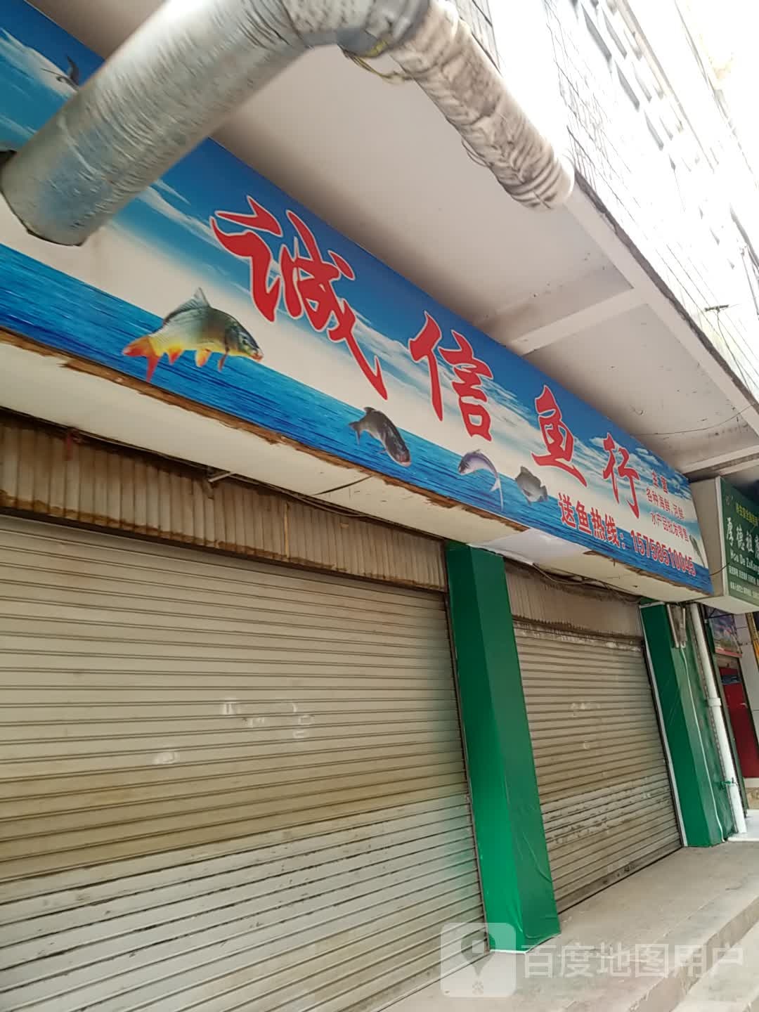 诚信鱼行