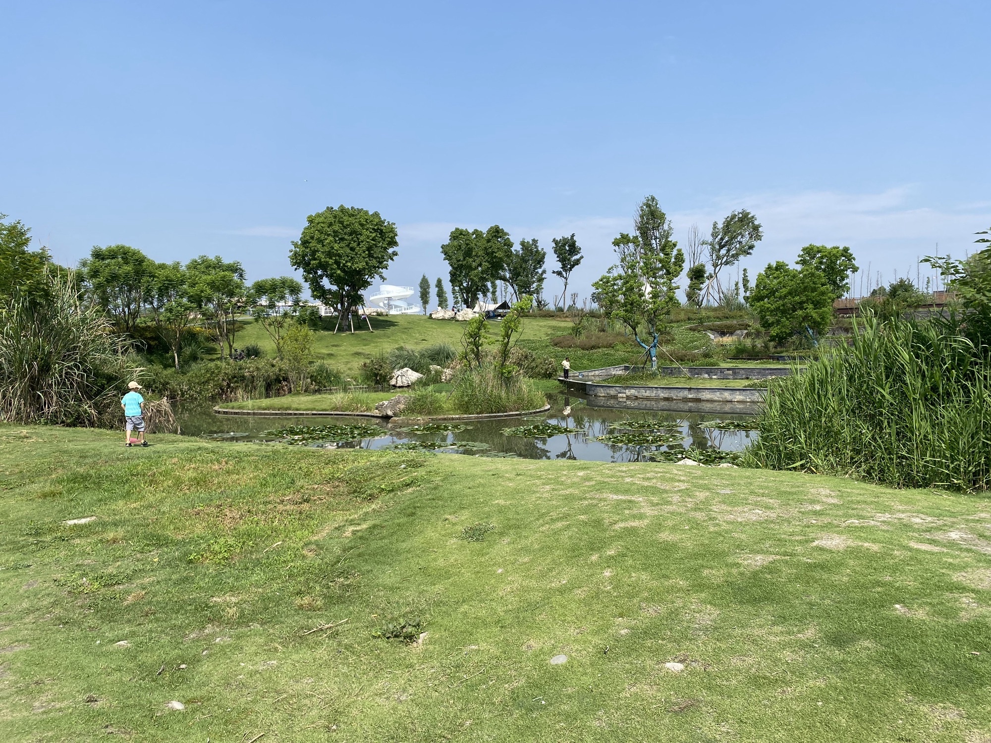 鲁家滩湿地公园