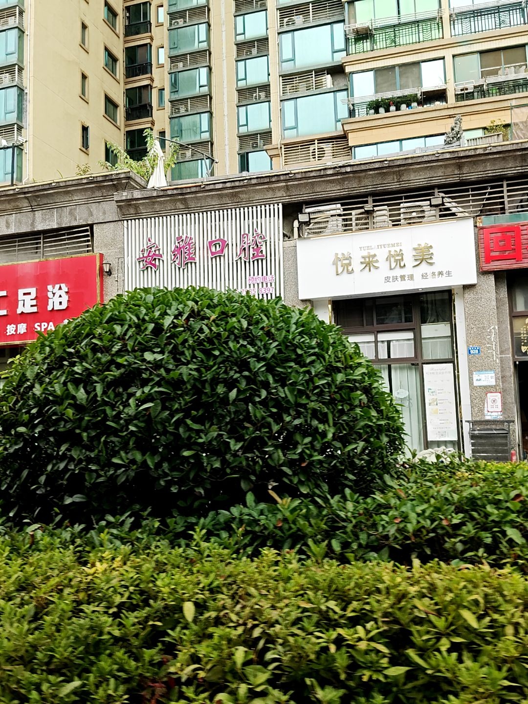 安雅口腔(景德镇店)