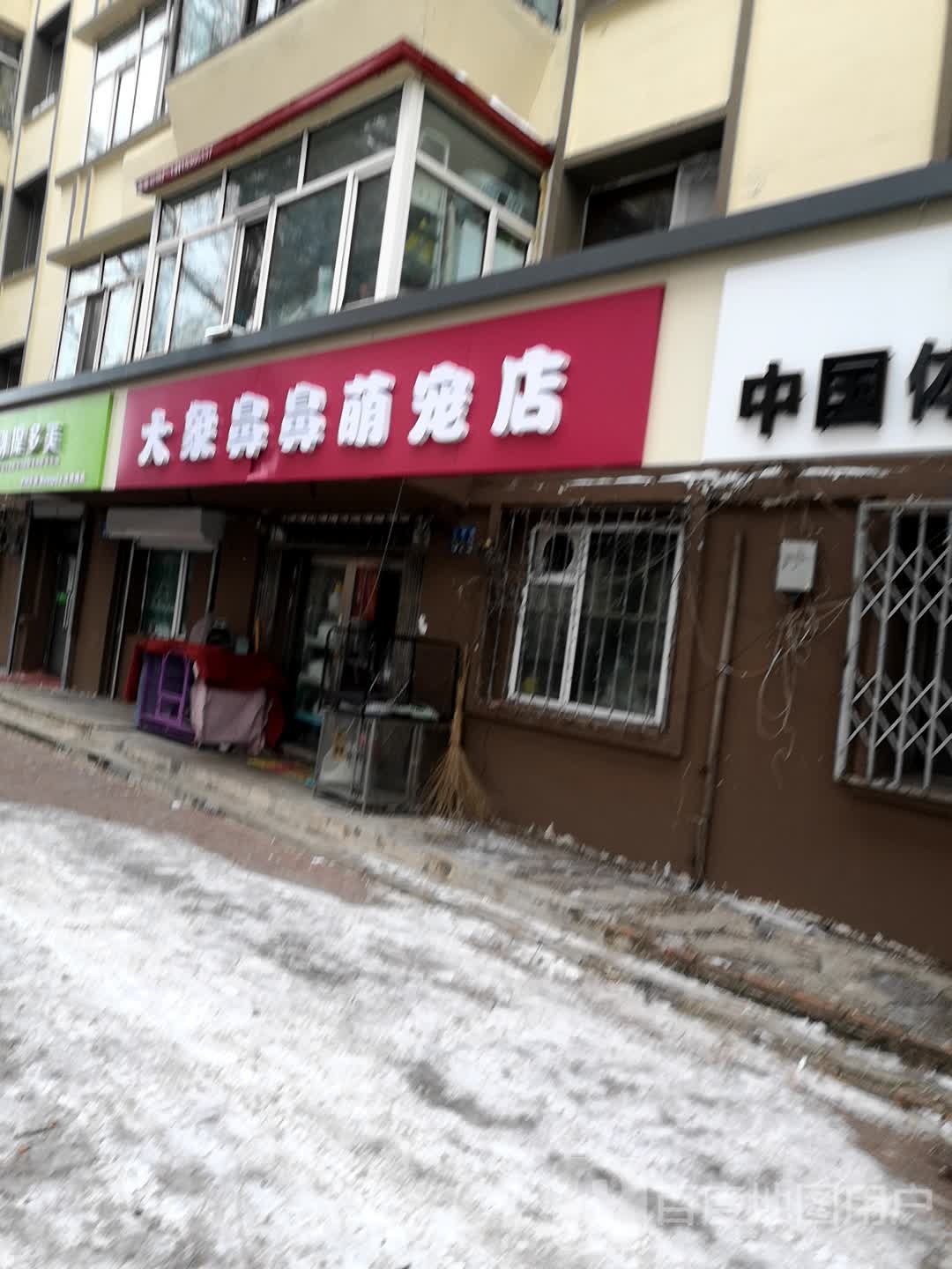 大象鼻鼻萌宠店