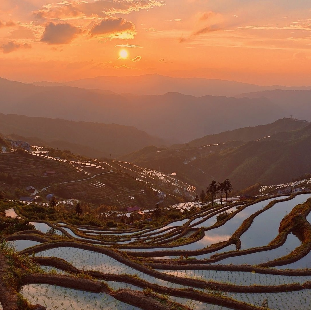 溆浦山背花瑶梯田景区
