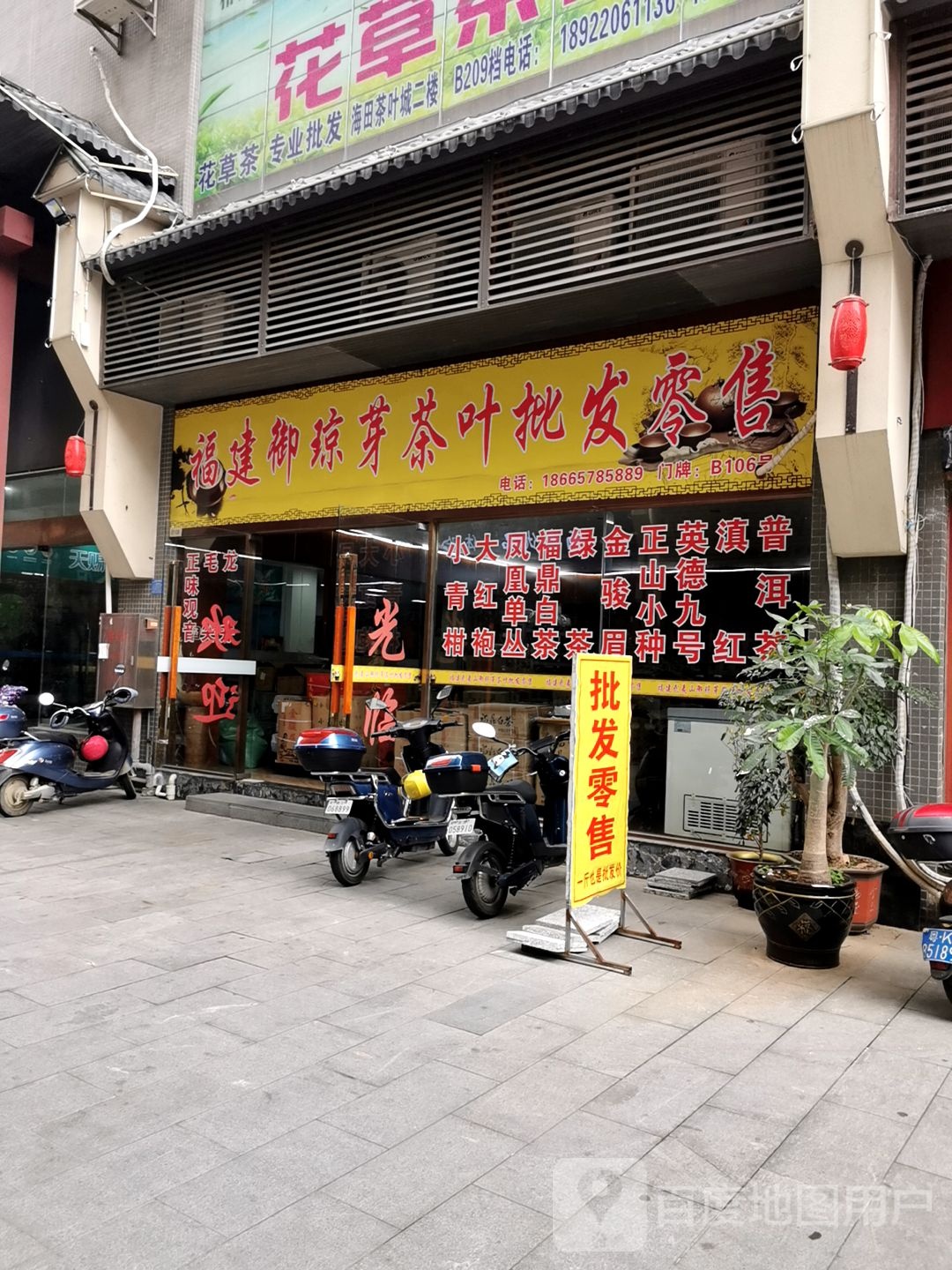 福建御琼芽茶叶批发零售(海田茶叶城店)