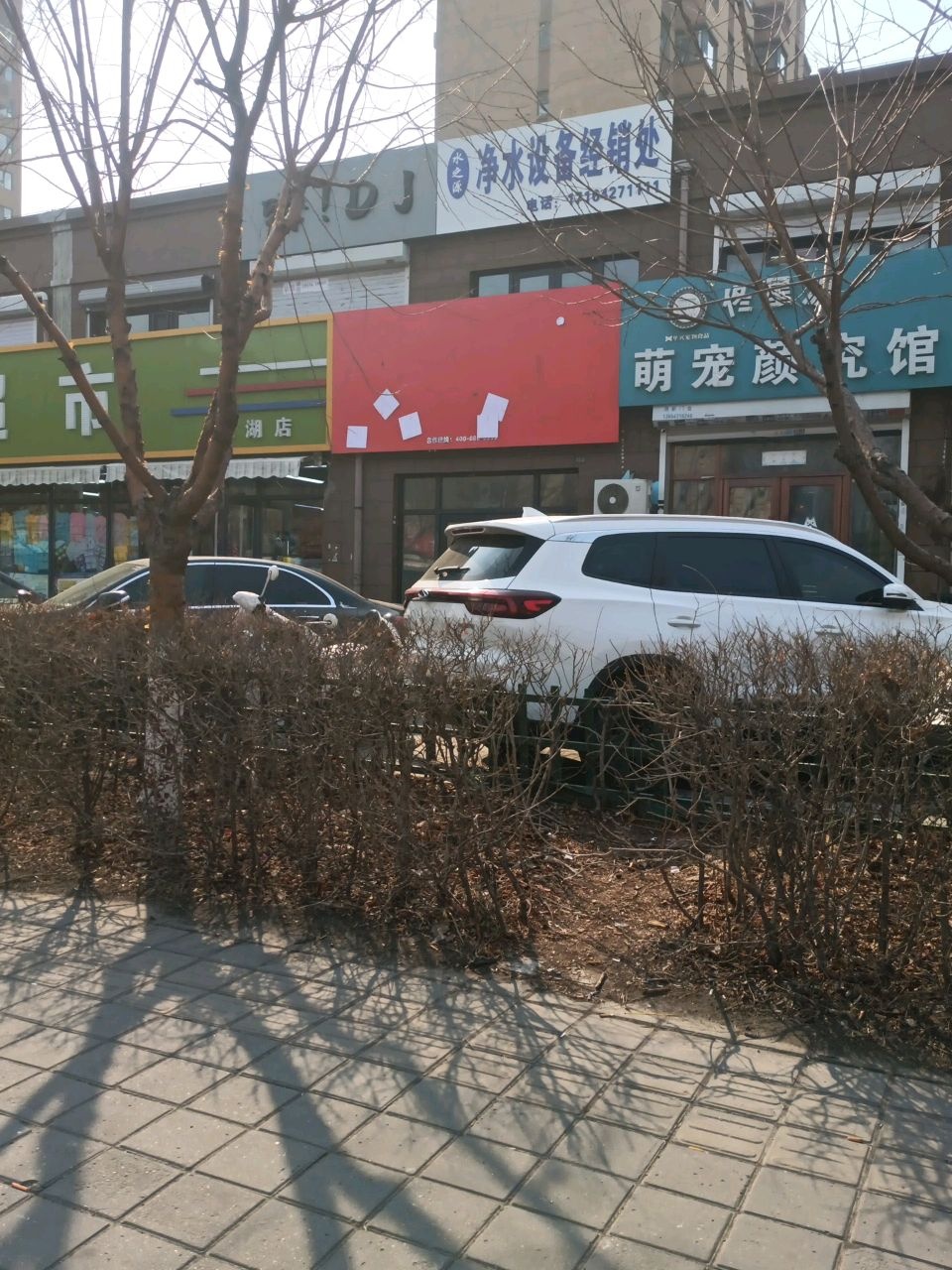 佟星源萌宠馆