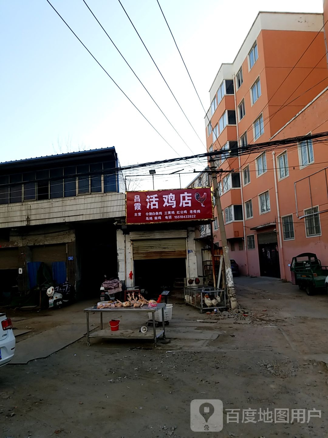 沈丘县吕霞活鸡店