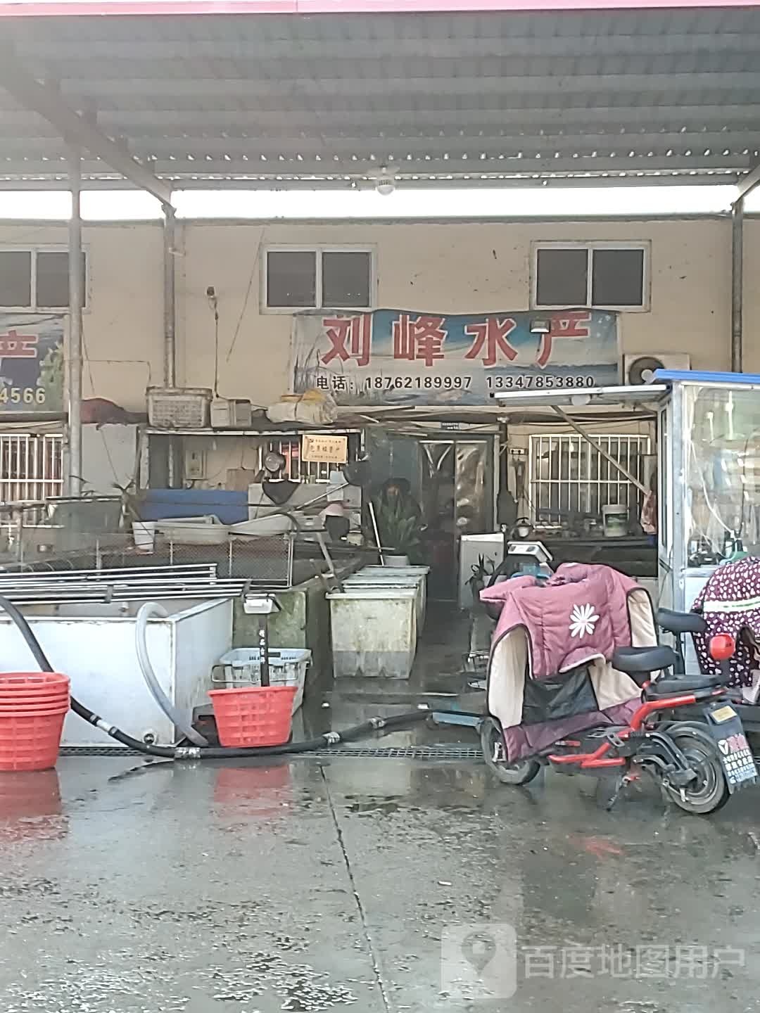 刘峰水产批发