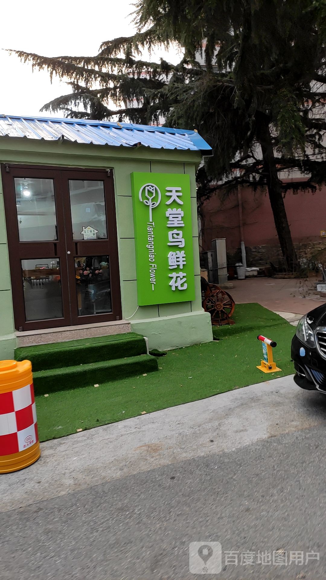 天堂鸟鲜花