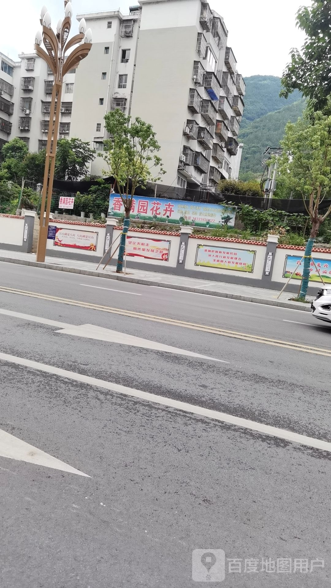 香满园花卉