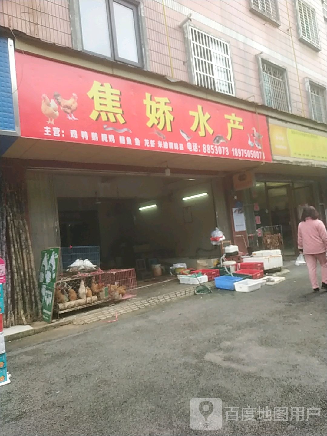 焦姣水产