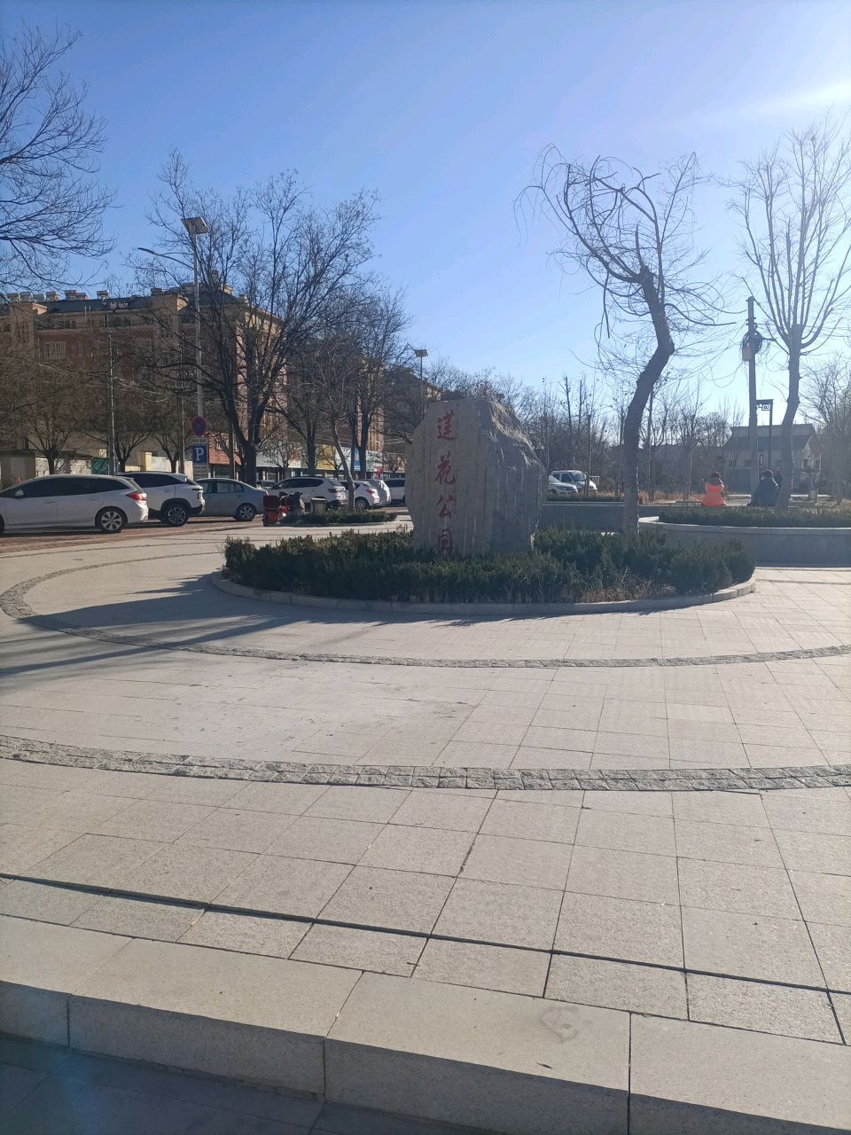 莲花公园