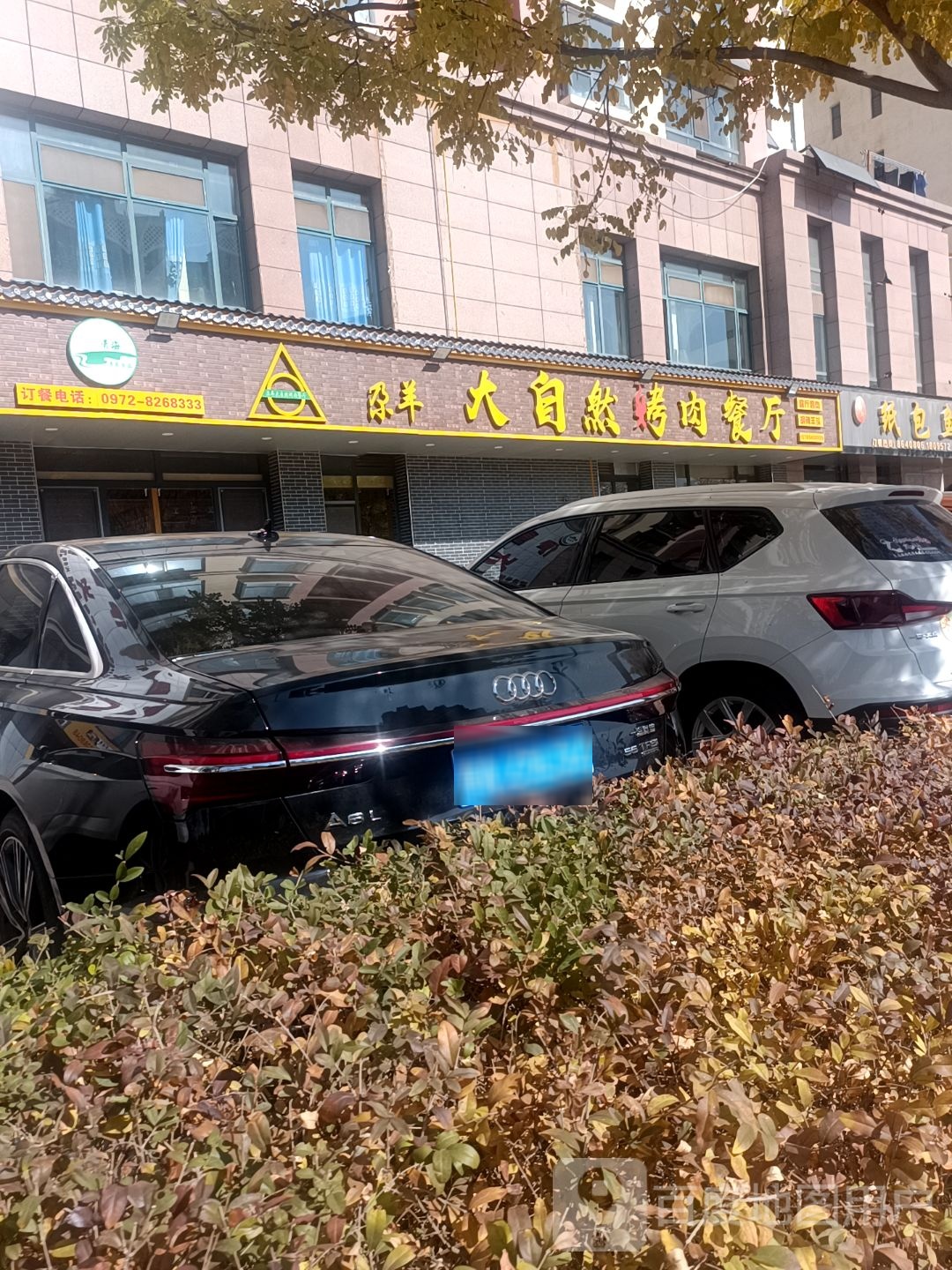 尕羊大区自然烤肉餐厅(景都乐苑店)