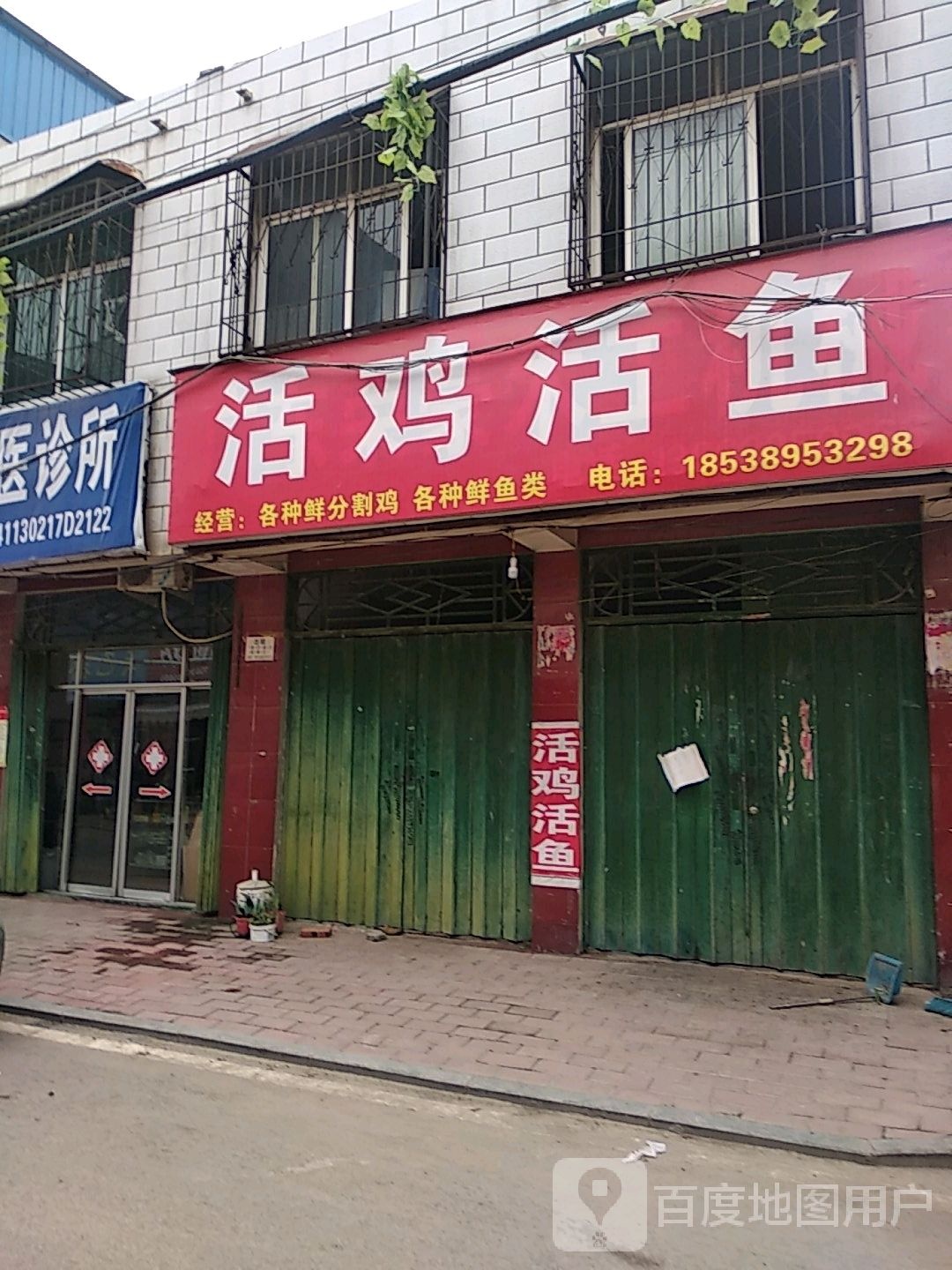 活鸡活鱼(嵩山路店)